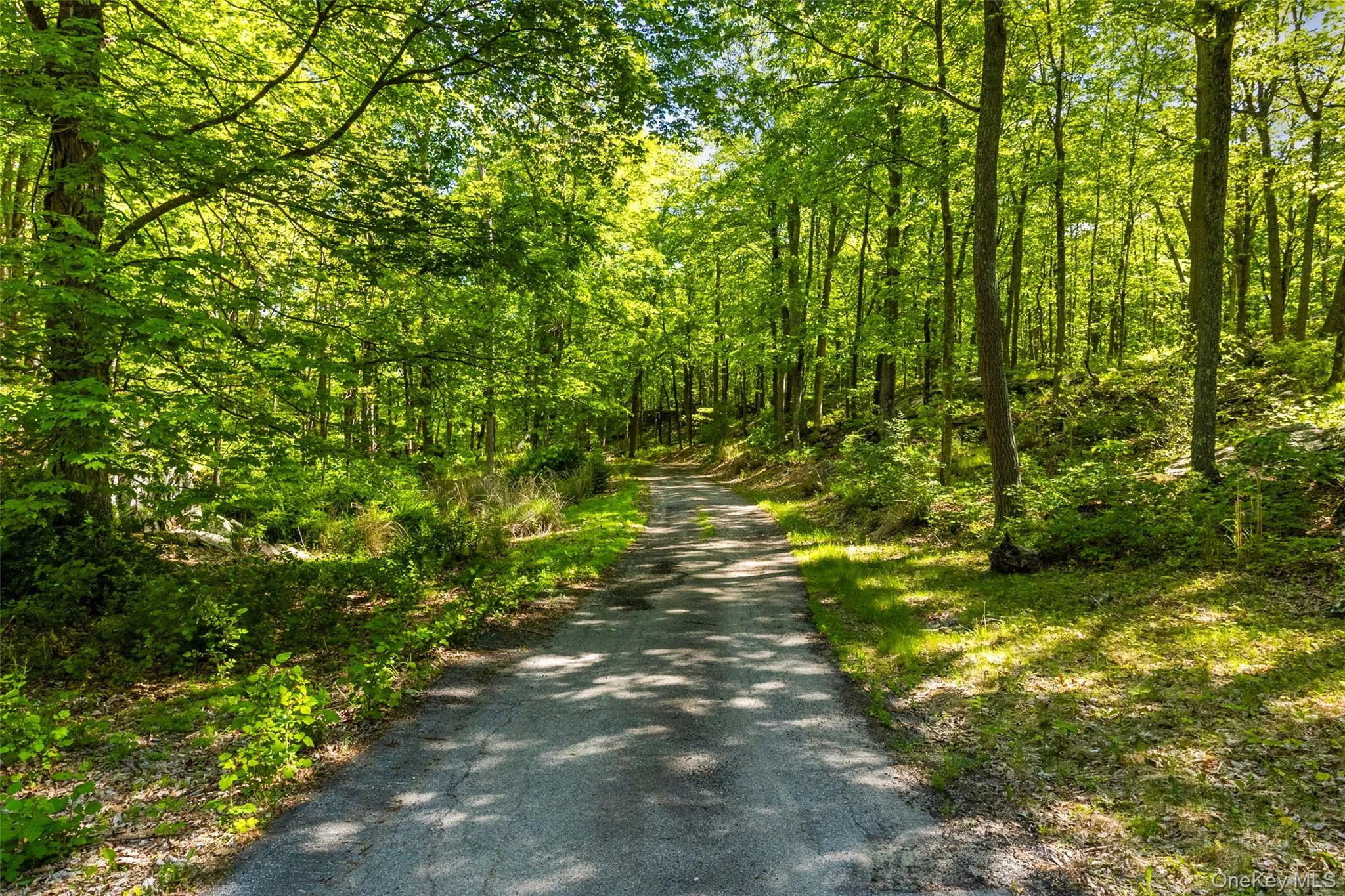 Driveway Driveway