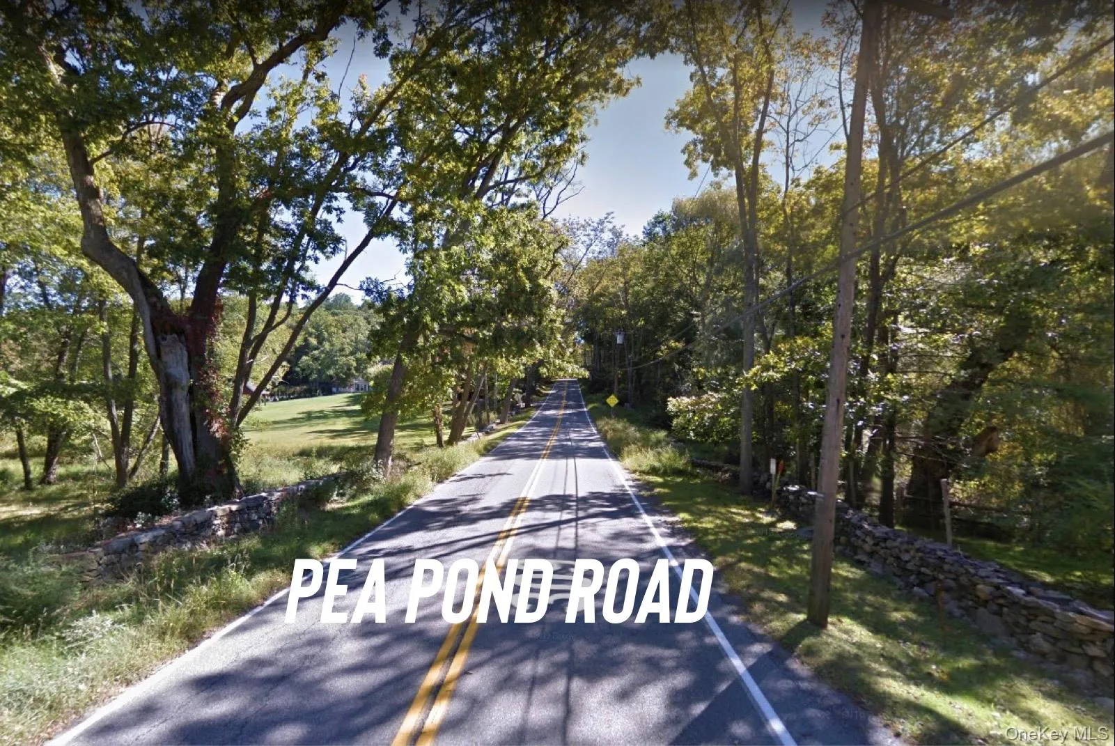 371-383 Pea Pond Road, Bedford, NY, ,Land,For Rent,Pea Pond,0,860695 371-383 Pea Pond Road, Bedford, NY, ,Land,For Rent,Pea Pond,0,860695