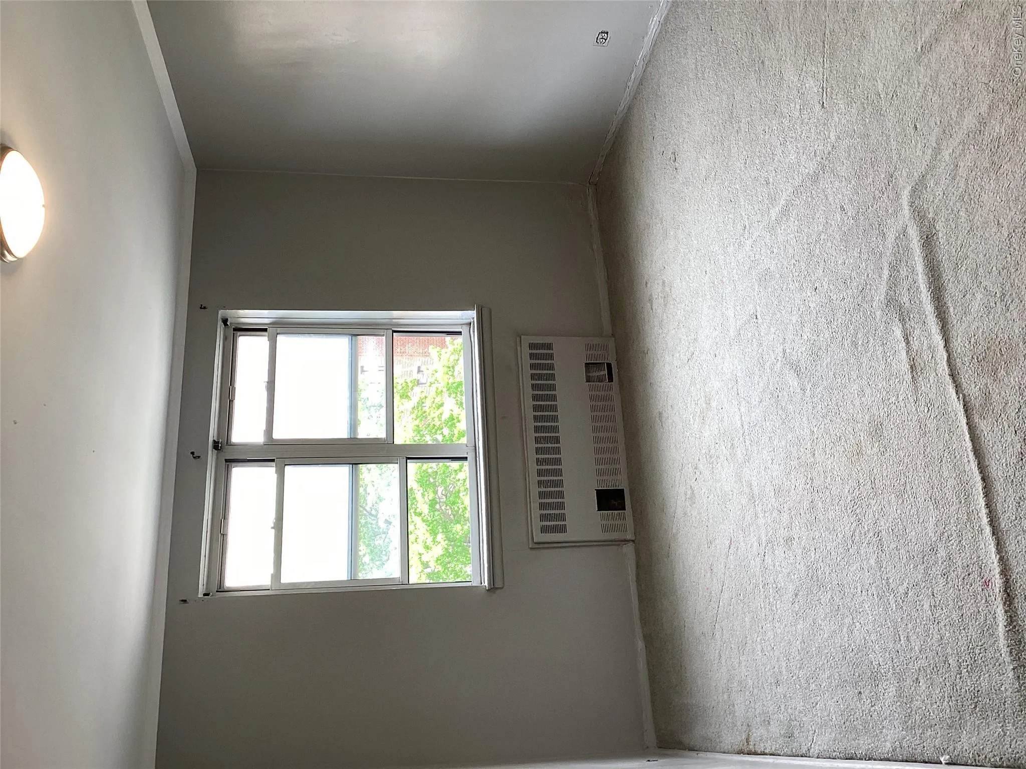 Carpeted spare room featuring radiator heating unit, ornamental molding, and baseboards Carpeted spare room featuring radiator heating unit, ornamental molding, and baseboards