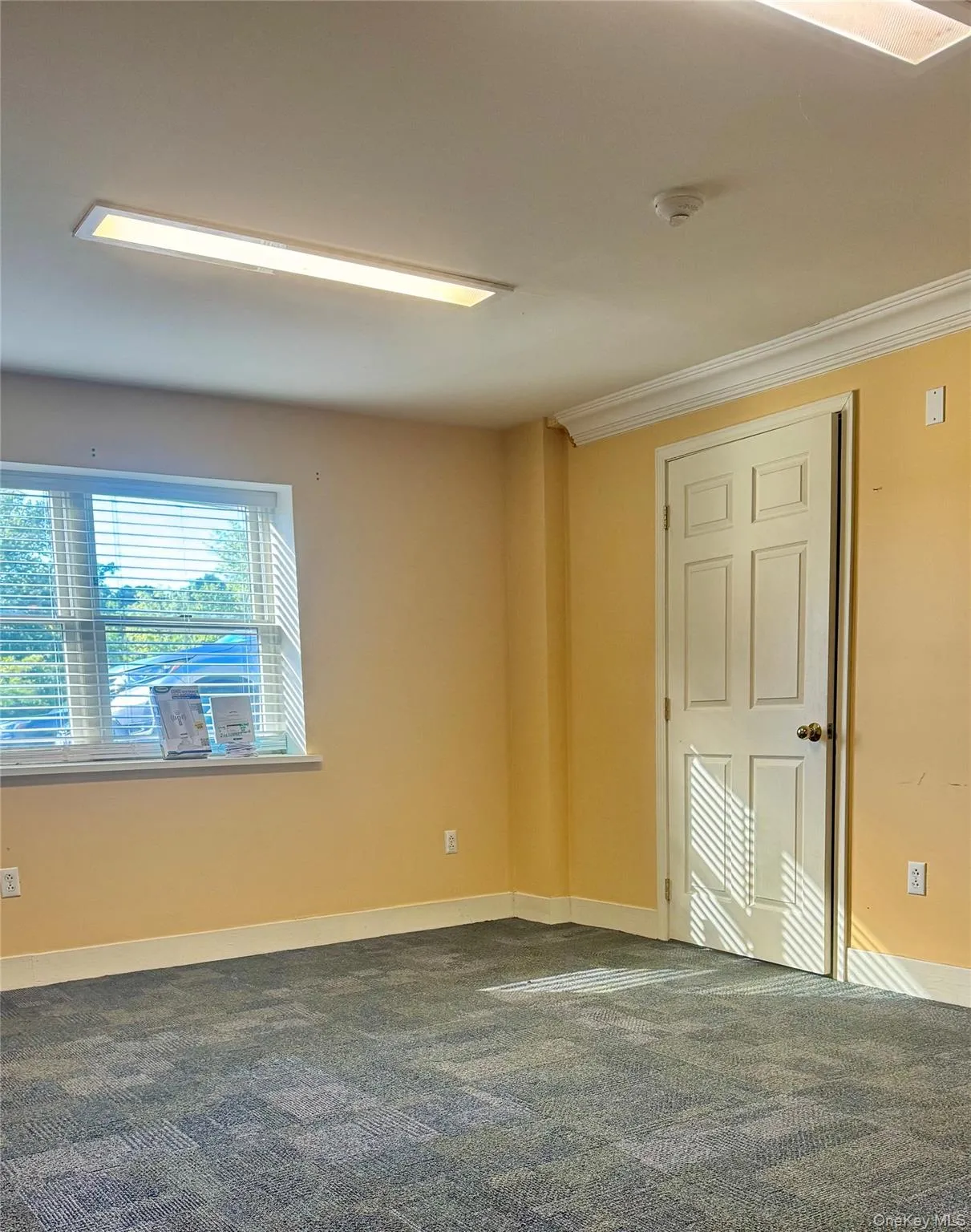 Empty room with baseboards and dark carpet Empty room with baseboards and dark carpet