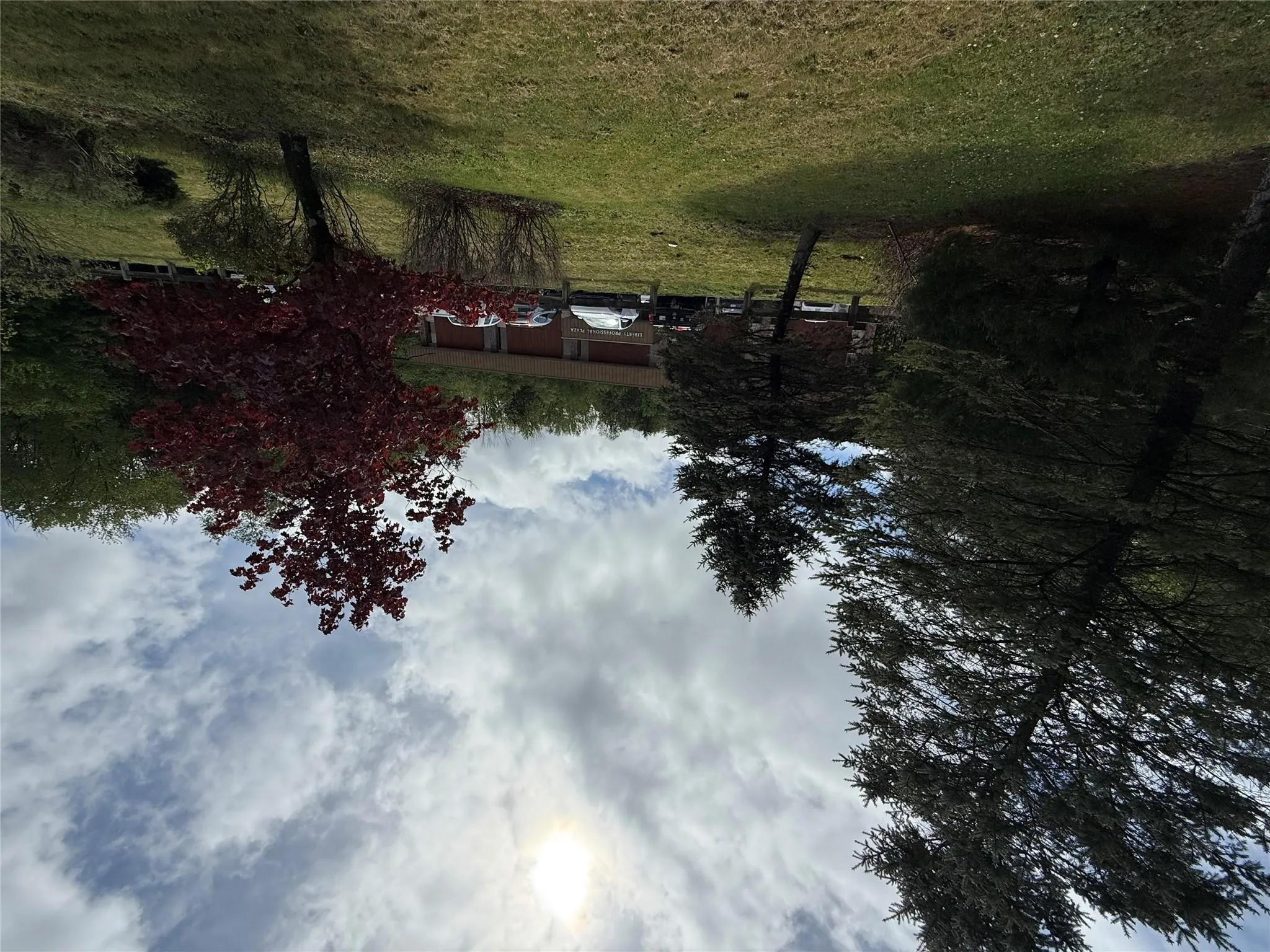 View of grassy yard View of grassy yard