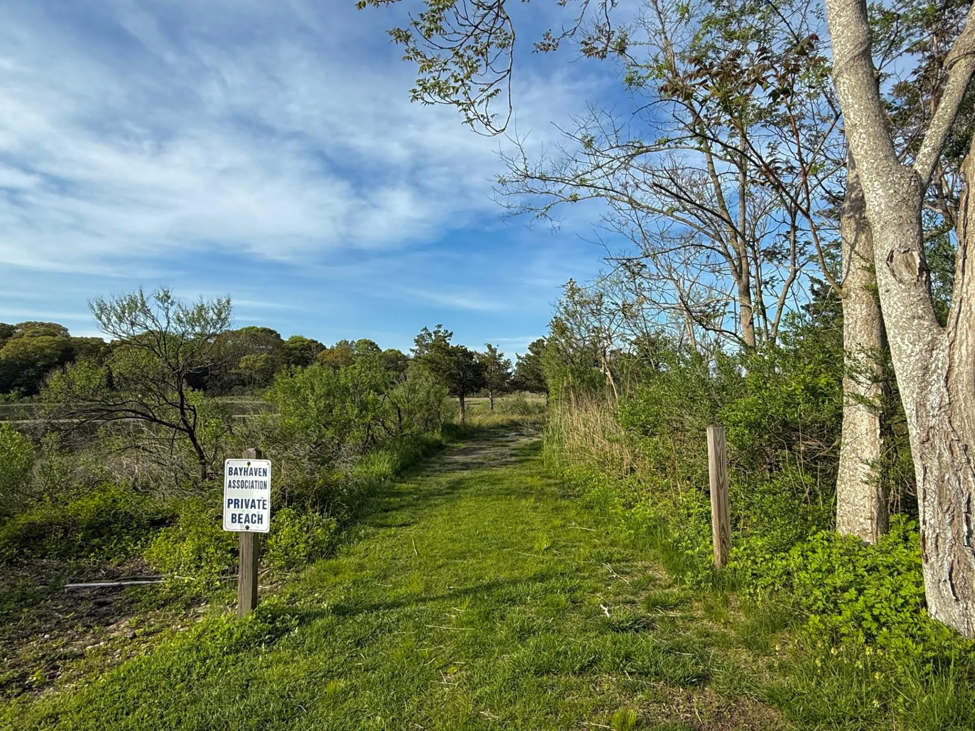 8 Harbor Drive, Southampton, NY, 4 Bedrooms Bedrooms, 10 Rooms Rooms,3 BathroomsBathrooms,Residential Lease,Idx,Harbor,863008 8 Harbor Drive, Southampton, NY, 4 Bedrooms Bedrooms, 10 Rooms Rooms,3 BathroomsBathrooms,Residential Lease,Idx,Harbor,863008