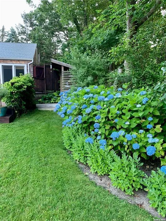 View of yard featuring an outdoor structure View of yard featuring an outdoor structure