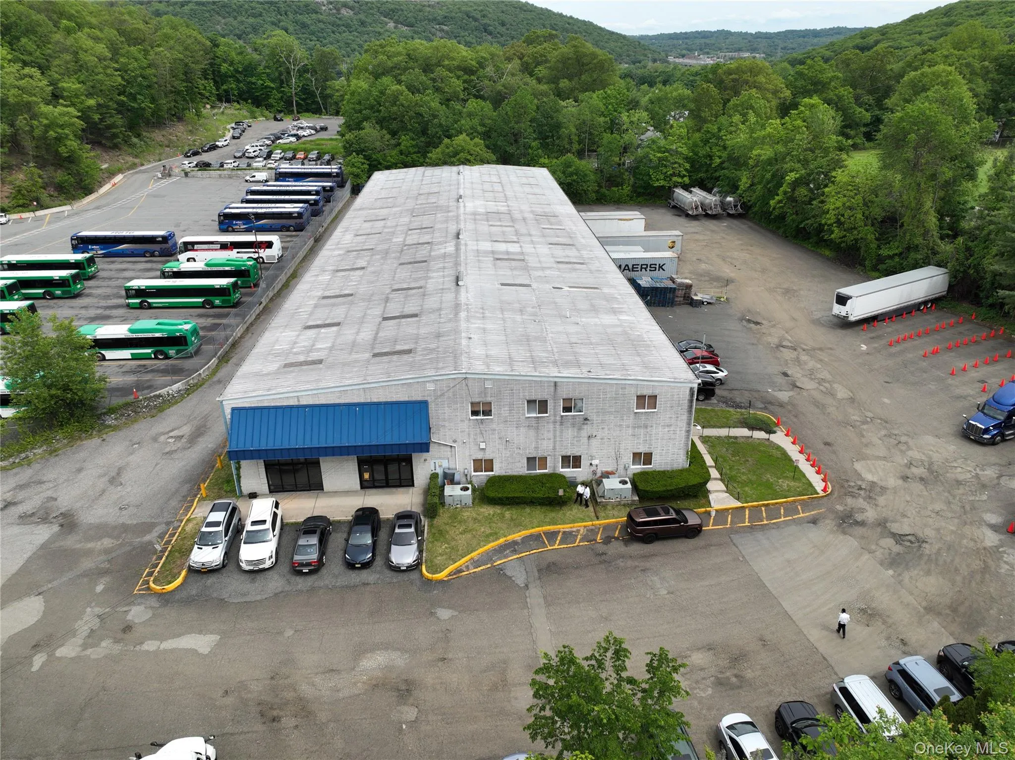 Drone / aerial view of a forest Drone / aerial view of a forest