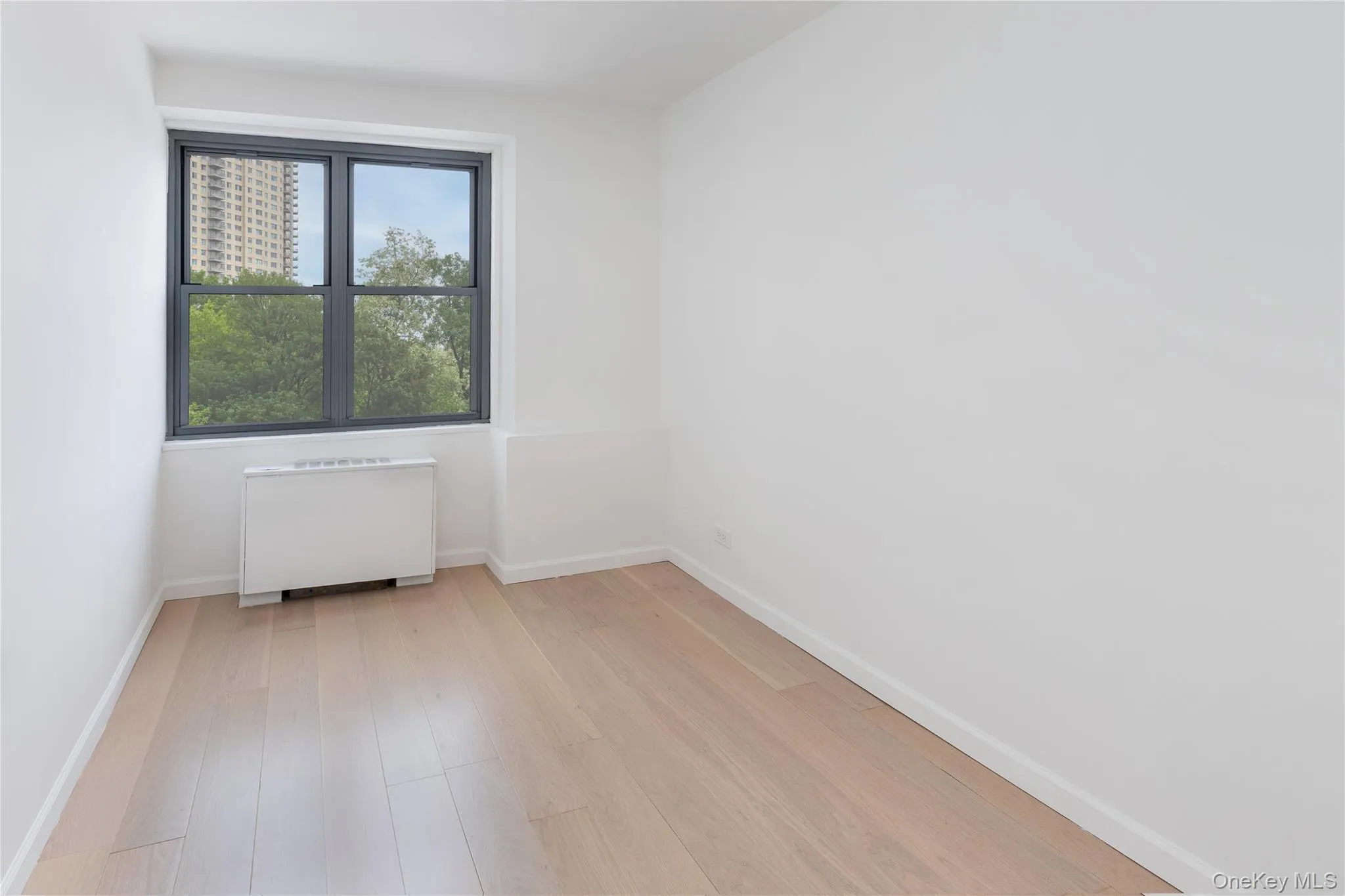 Unfurnished room featuring radiator, light wood-style flooring, and baseboards Unfurnished room featuring radiator, light wood-style flooring, and baseboards