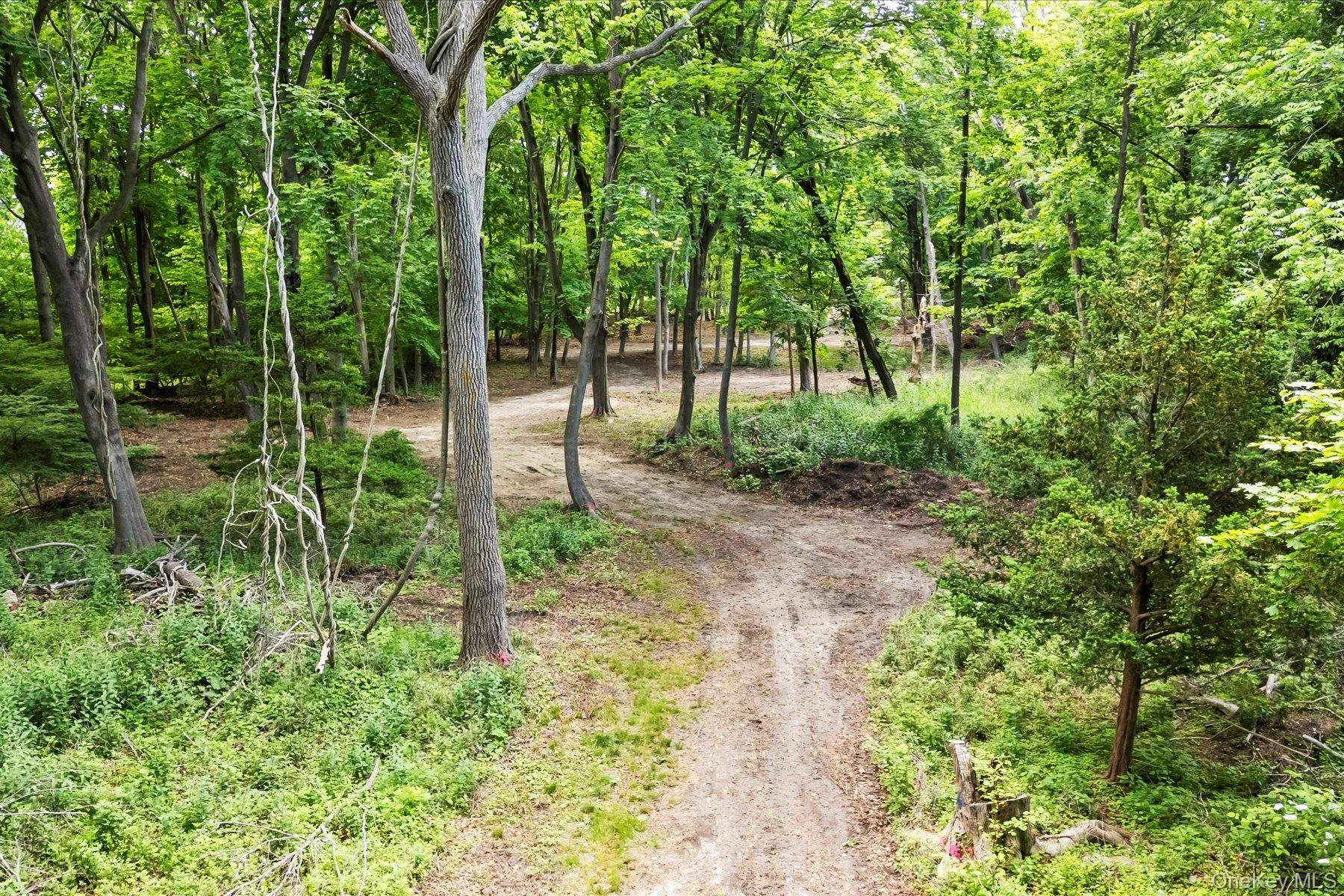 198 South Country Road, Brookhaven, NY, ,Land,For Rent,South Country,0,863551 198 South Country Road, Brookhaven, NY, ,Land,For Rent,South Country,0,863551