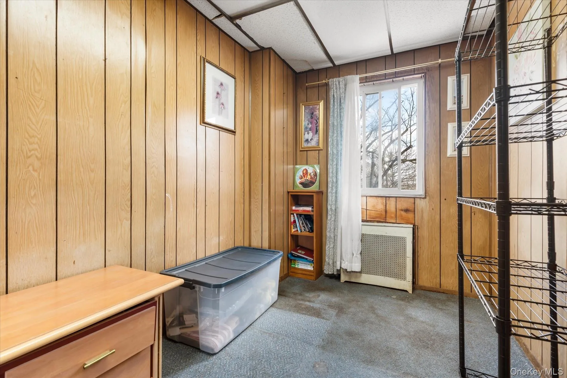 Miscellaneous room featuring carpet floors, wood walls, and radiator heating unit Miscellaneous room featuring carpet floors, wood walls, and radiator heating unit