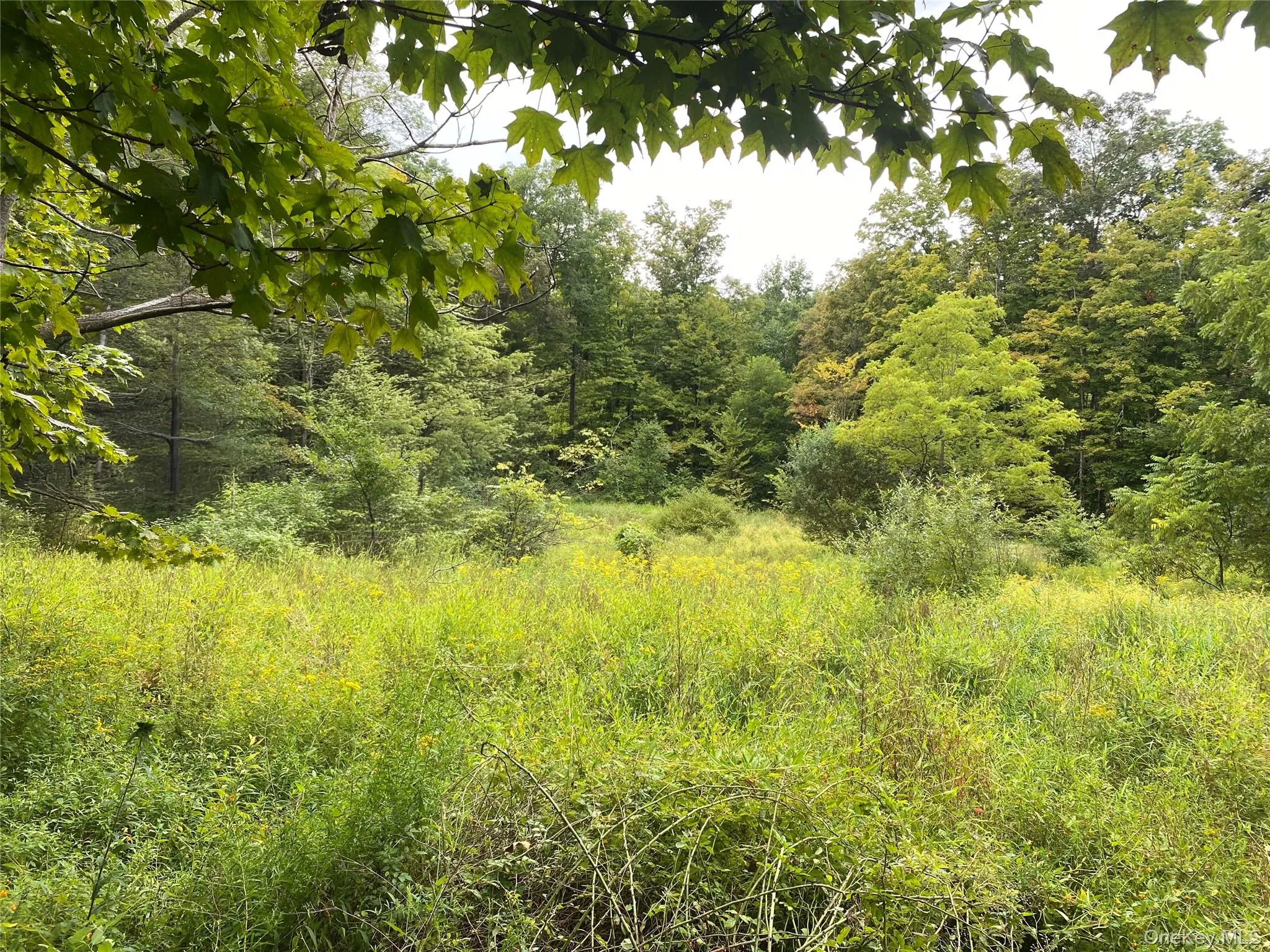 24 Beck Road, Poughkeepsie, NY, ,Land,For Rent,Beck,0,864050 24 Beck Road, Poughkeepsie, NY, ,Land,For Rent,Beck,0,864050