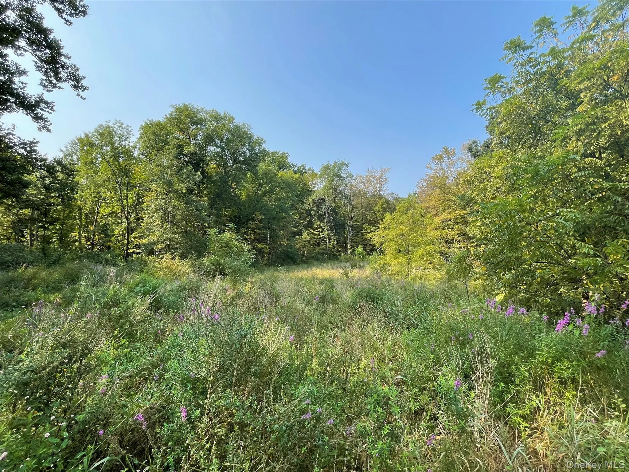 24 Beck Road, Poughkeepsie, NY, ,Land,For Rent,Beck,0,864050 24 Beck Road, Poughkeepsie, NY, ,Land,For Rent,Beck,0,864050