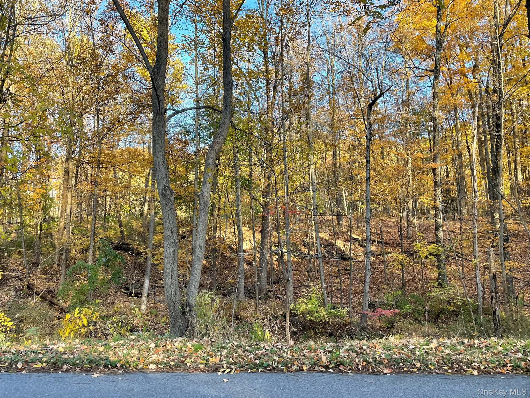 24 Beck Road, Poughkeepsie, NY, ,Land,For Rent,Beck,0,864050 24 Beck Road, Poughkeepsie, NY, ,Land,For Rent,Beck,0,864050