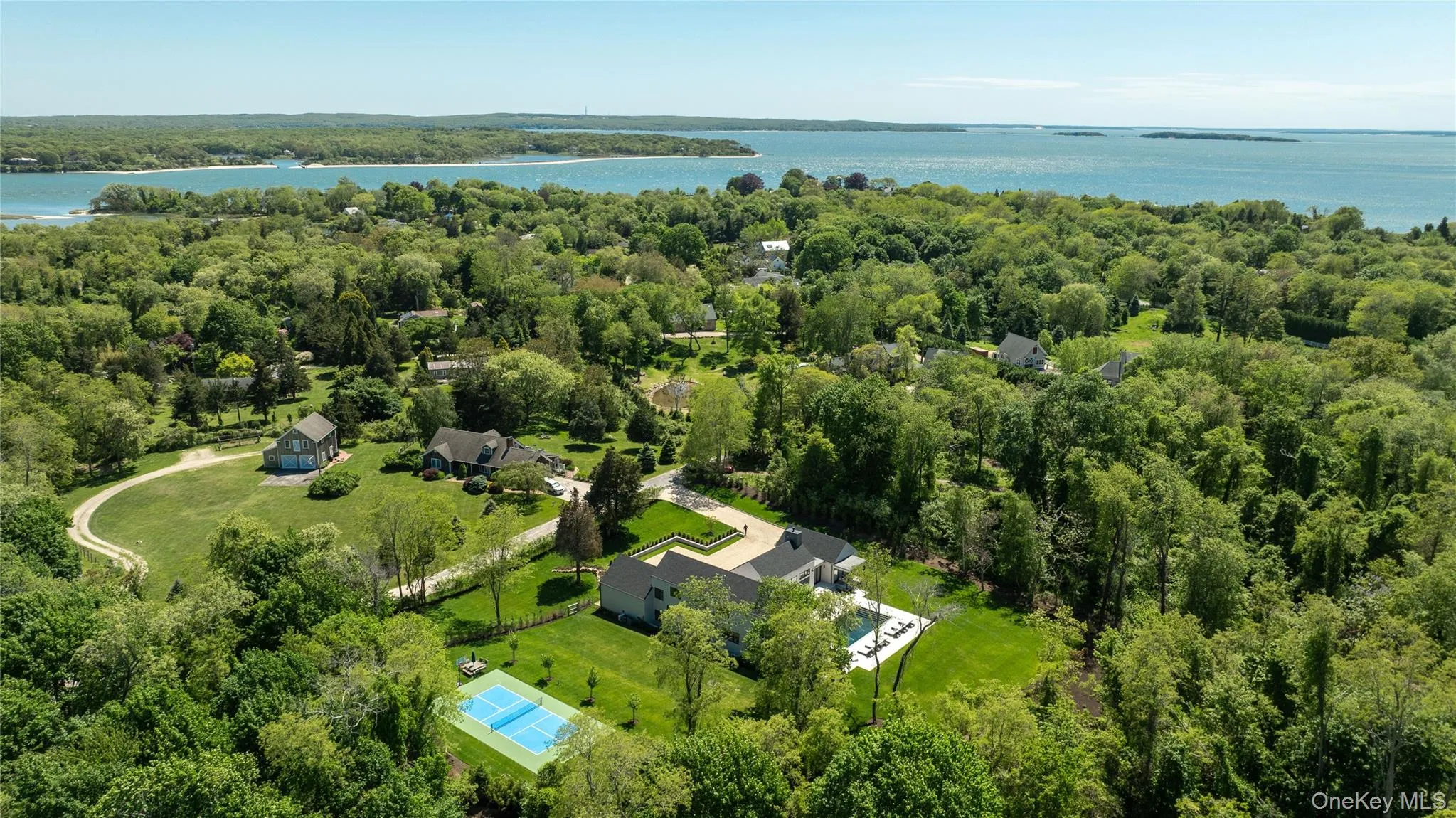 Bird's eye view of a large body of water and a forest Bird's eye view of a large body of water and a forest