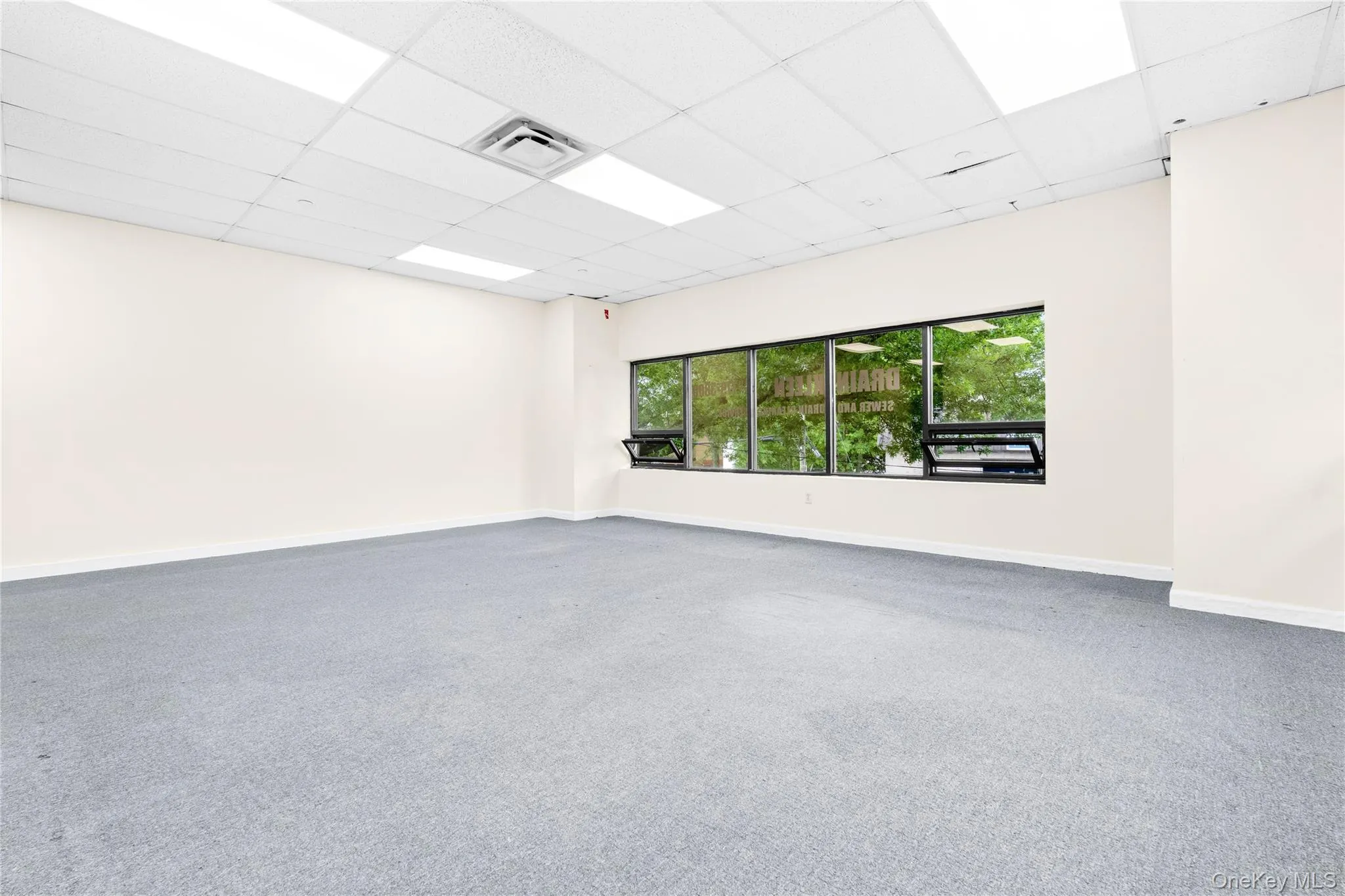 55-57 Lake Street, White Plains, NY, ,Commercial Lease,Idx,Lake,0,864811 55-57 Lake Street, White Plains, NY, ,Commercial Lease,Idx,Lake,0,864811