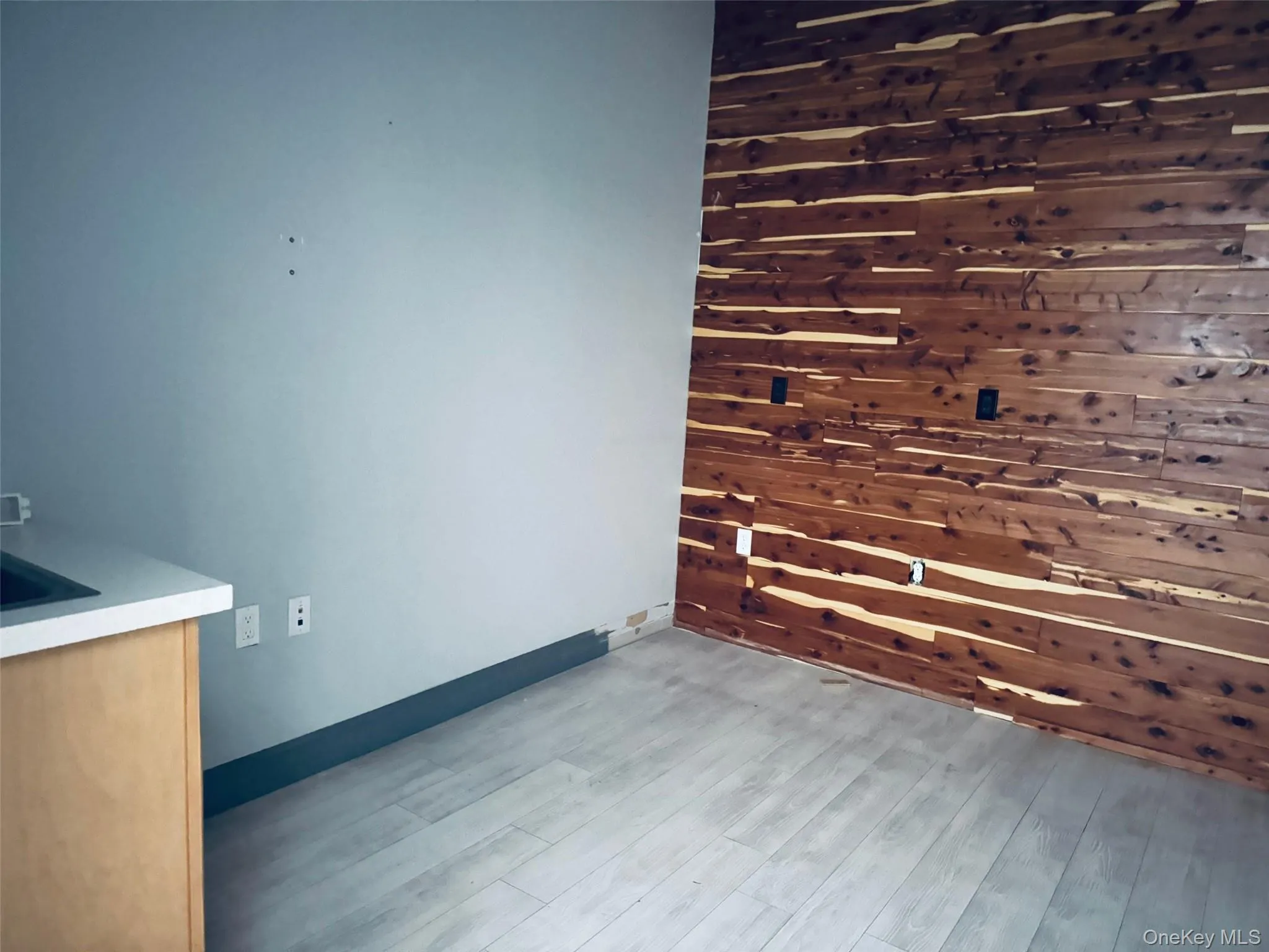 Unfurnished room with wood walls and sinkand light wood-style floors Unfurnished room with wood walls and sinkand light wood-style floors