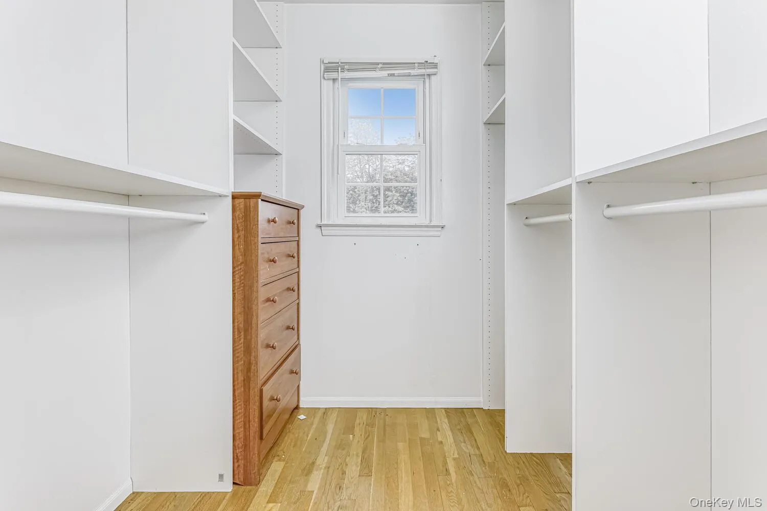 Walk in closet featuring light wood-style flooring Walk in closet featuring light wood-style flooring