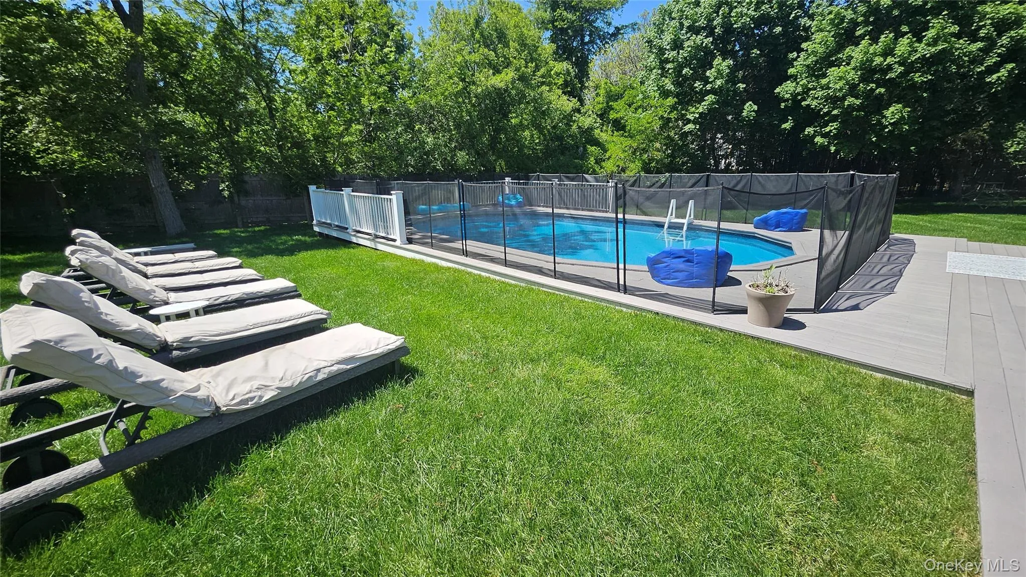 Expansive Yard Expansive Yard