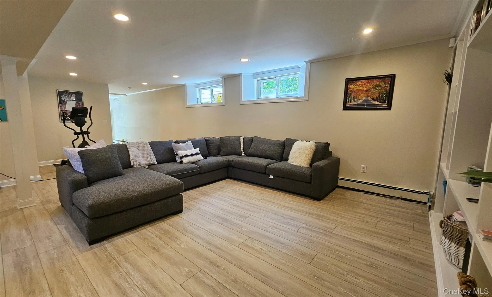 Lower level family room Lower level family room