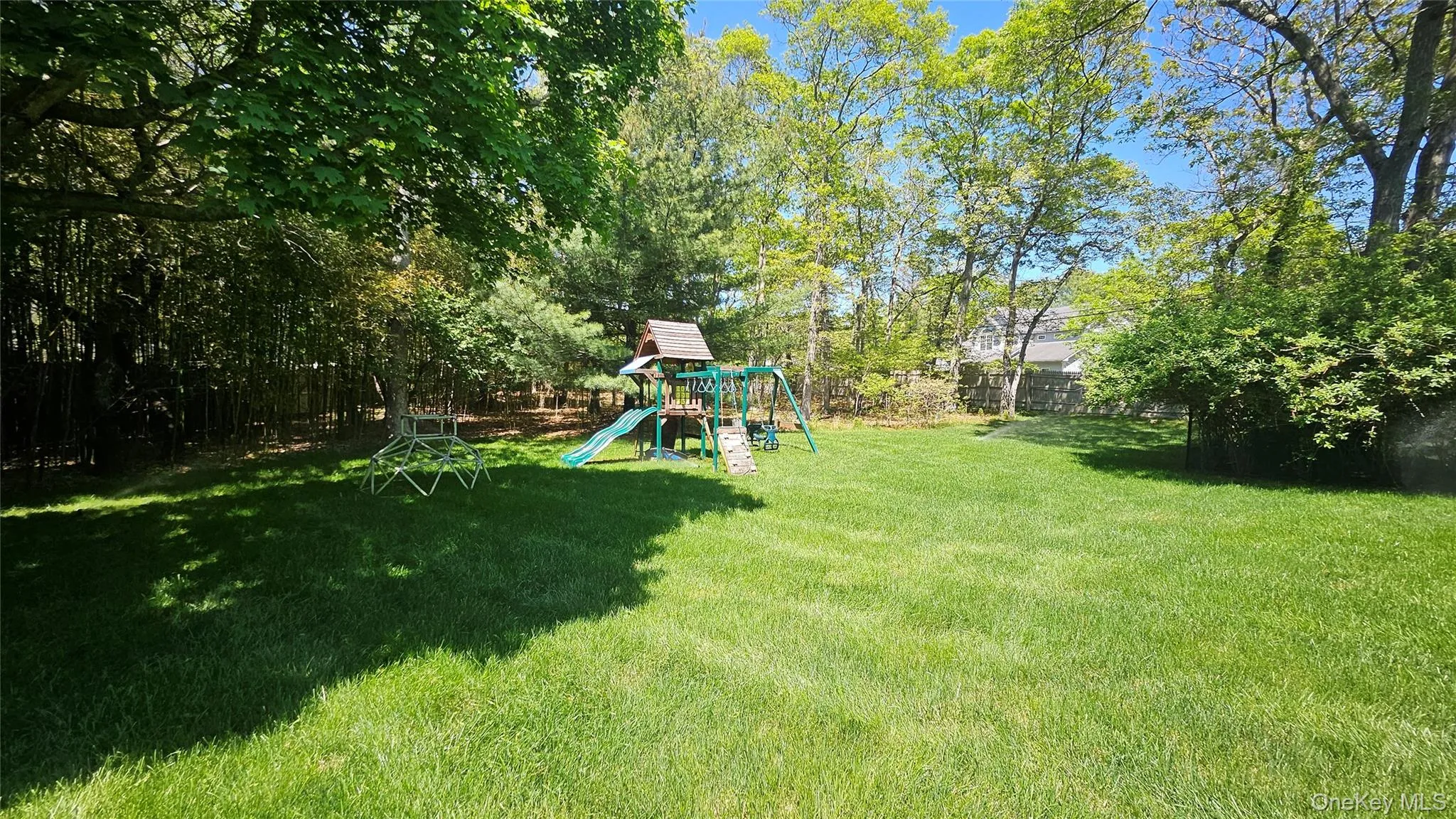 Expansive Yard With Swing Set Expansive Yard With Swing Set