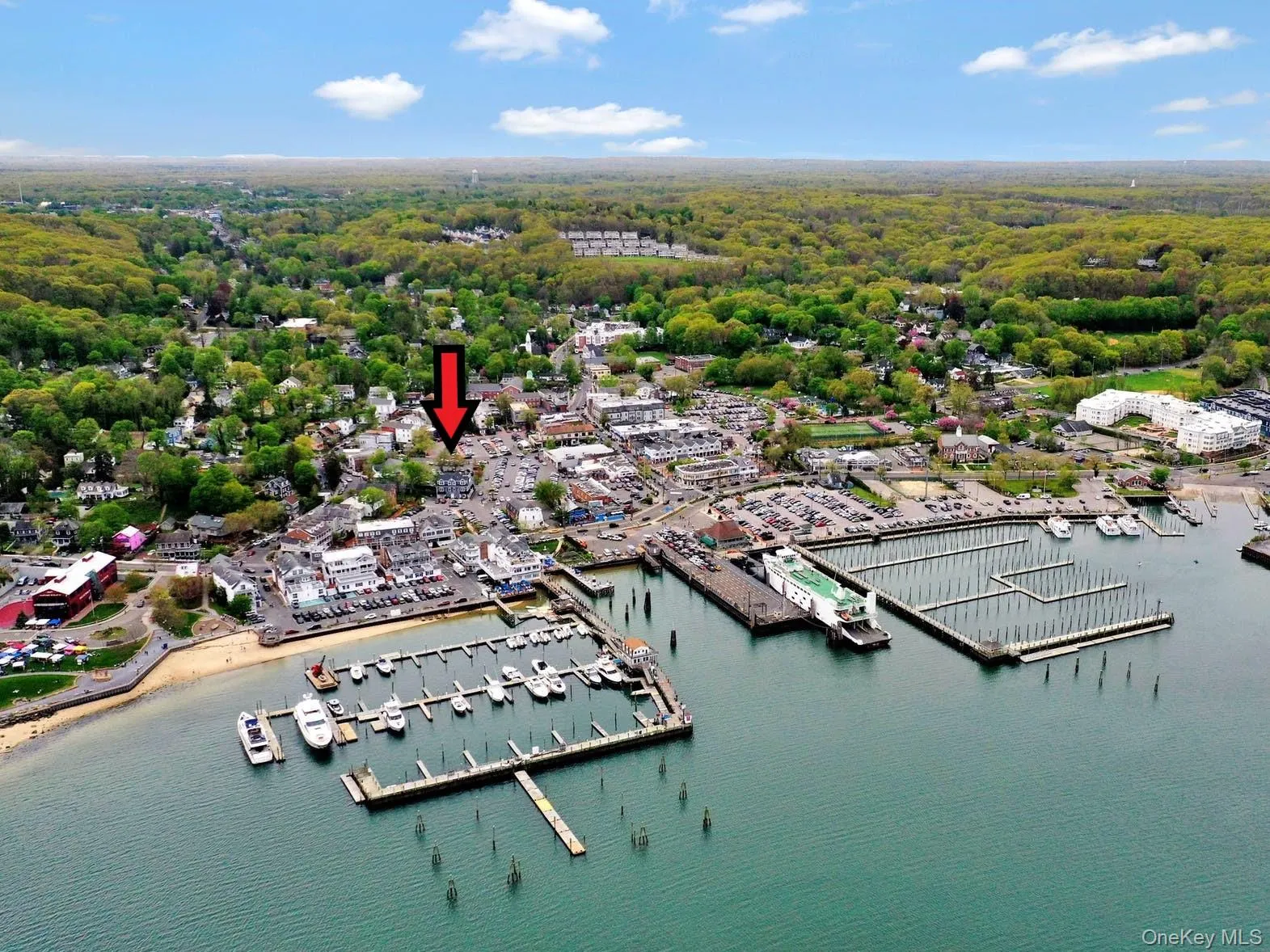 Drone / aerial view of numerous boat docks, a large body of water, and a heavily wooded area Drone / aerial view of numerous boat docks, a large body of water, and a heavily wooded area