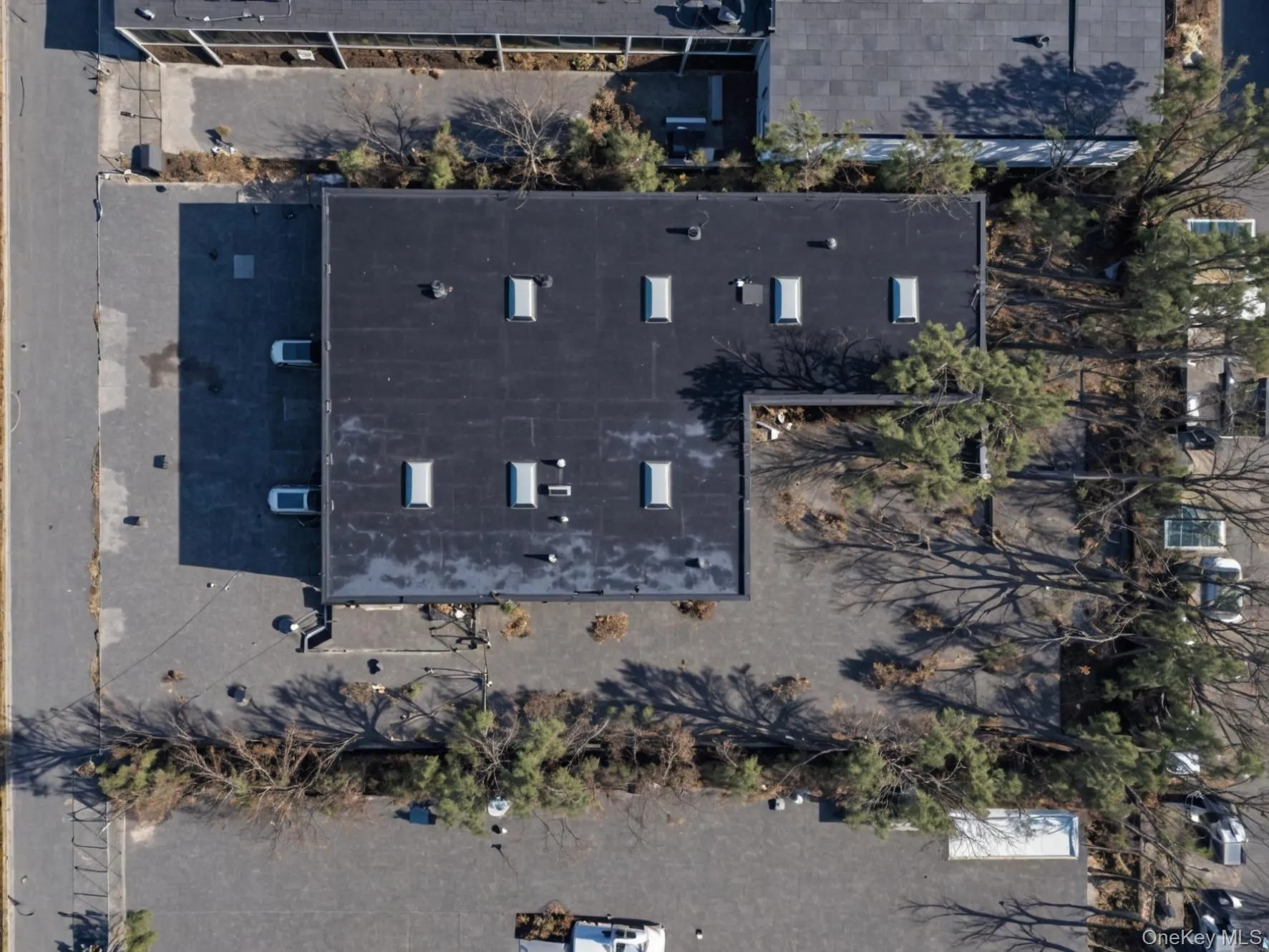 Bird's eye view Bird's eye view