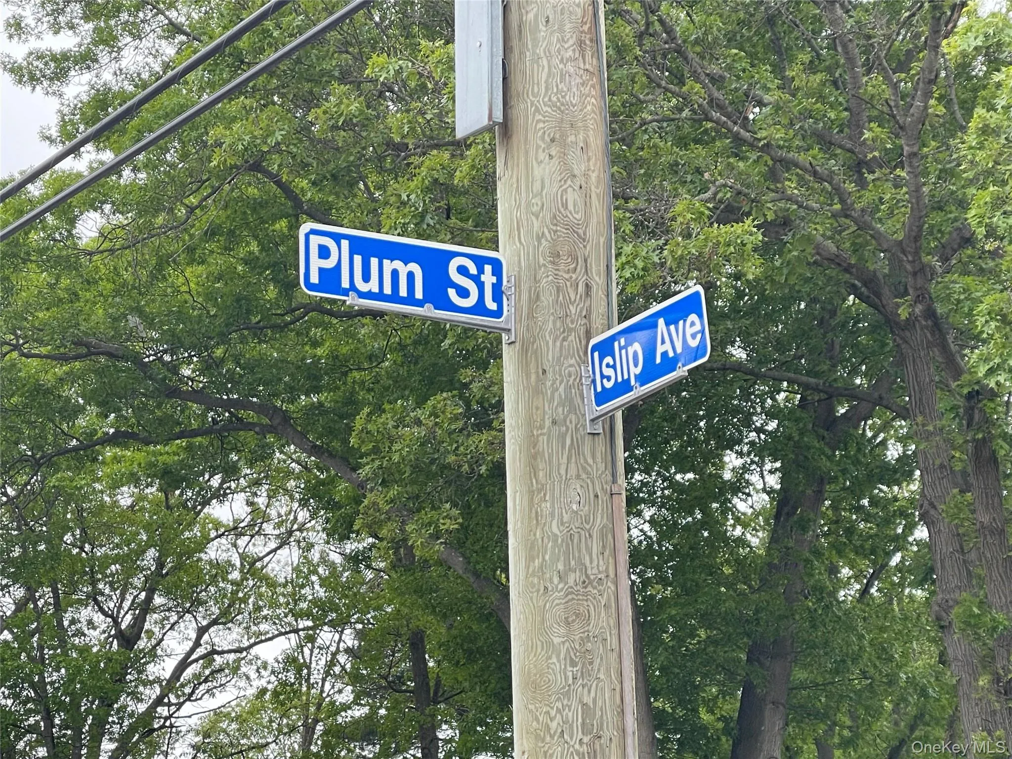 91 W Plum Street, Islip, NY, ,Land,For Rent,W Plum,0,866421 91 W Plum Street, Islip, NY, ,Land,For Rent,W Plum,0,866421