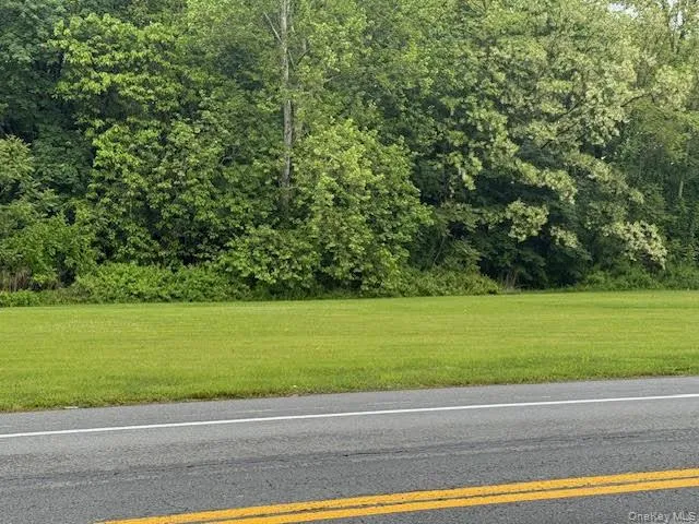View of asphalt street with a wooded view View of asphalt street with a wooded view