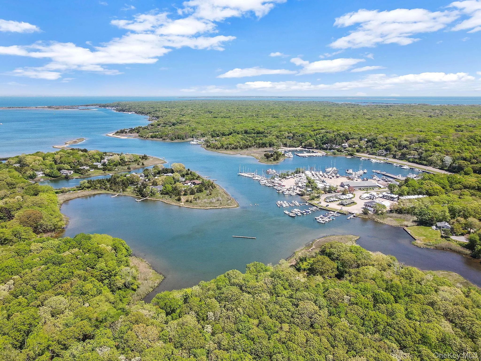 Bird's eye view of a forest and a large body of water Bird's eye view of a forest and a large body of water