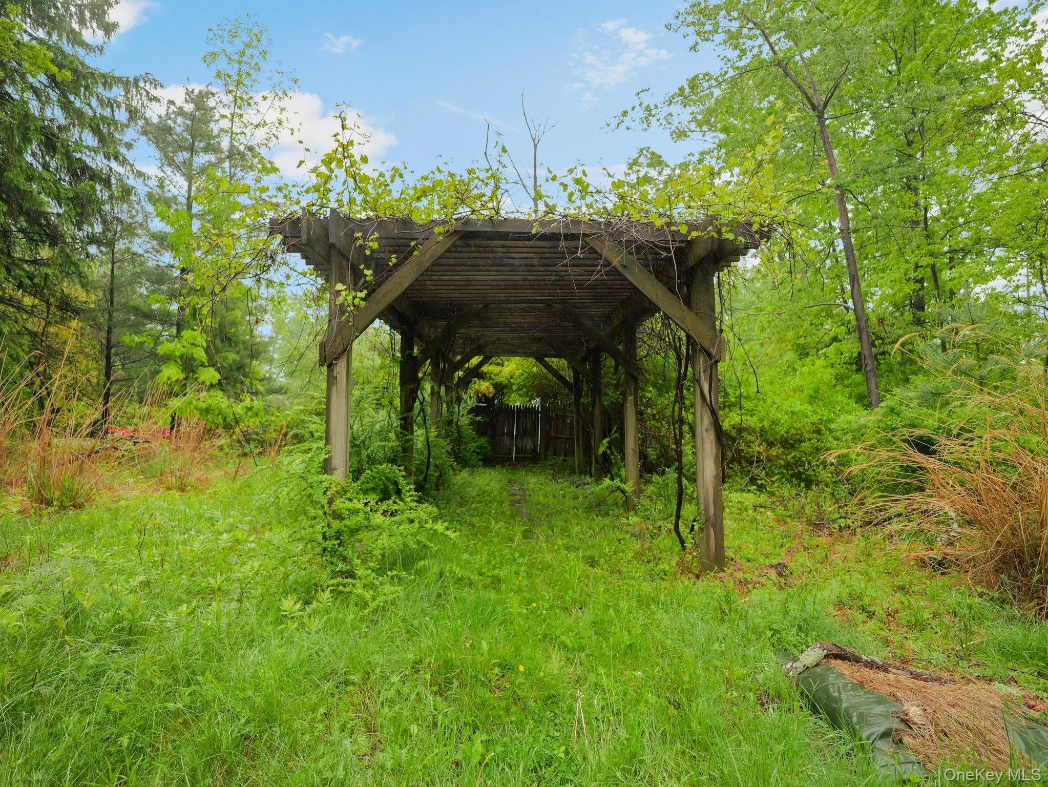 Arbored walk-way Arbored walk-way