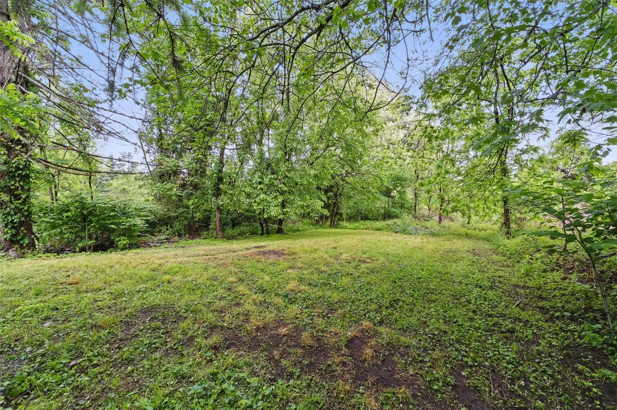 View of yard featuring a view of trees View of yard featuring a view of trees