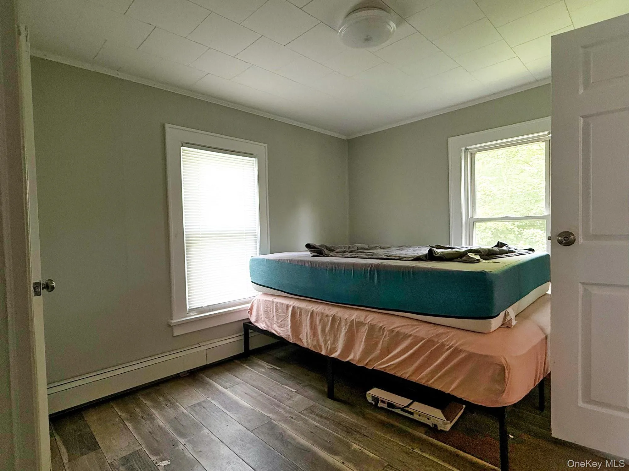 Bedroom with crown molding, multiple windows, wood-type flooring, and a baseboard heating unit Bedroom with crown molding, multiple windows, wood-type flooring, and a baseboard heating unit