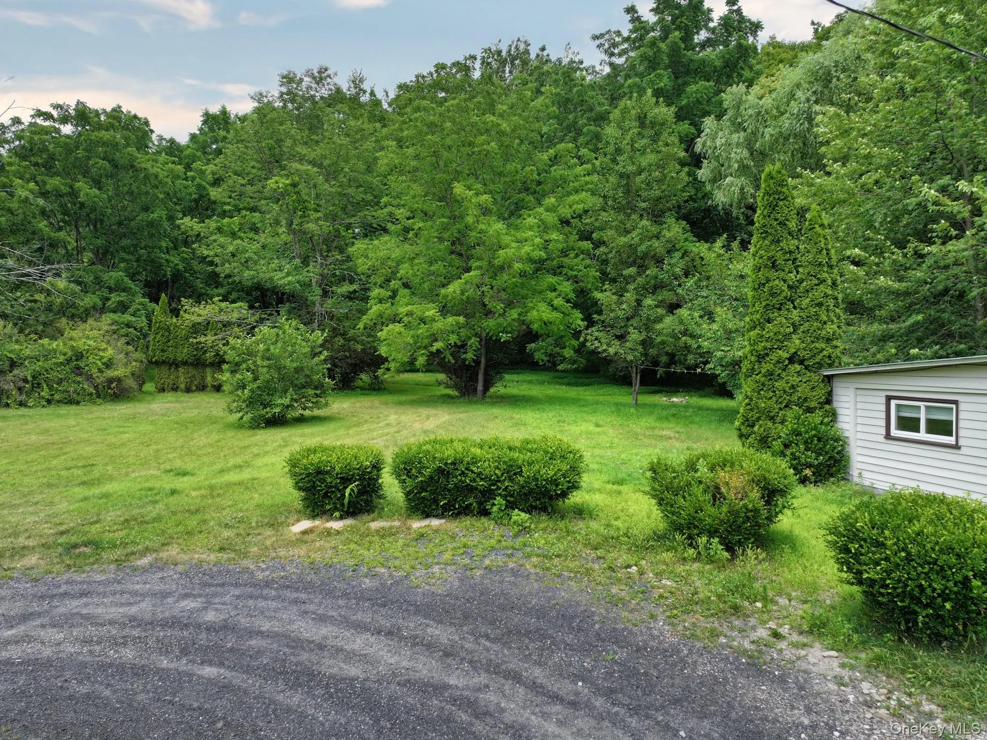 View of grassy yard with a forest view View of grassy yard with a forest view