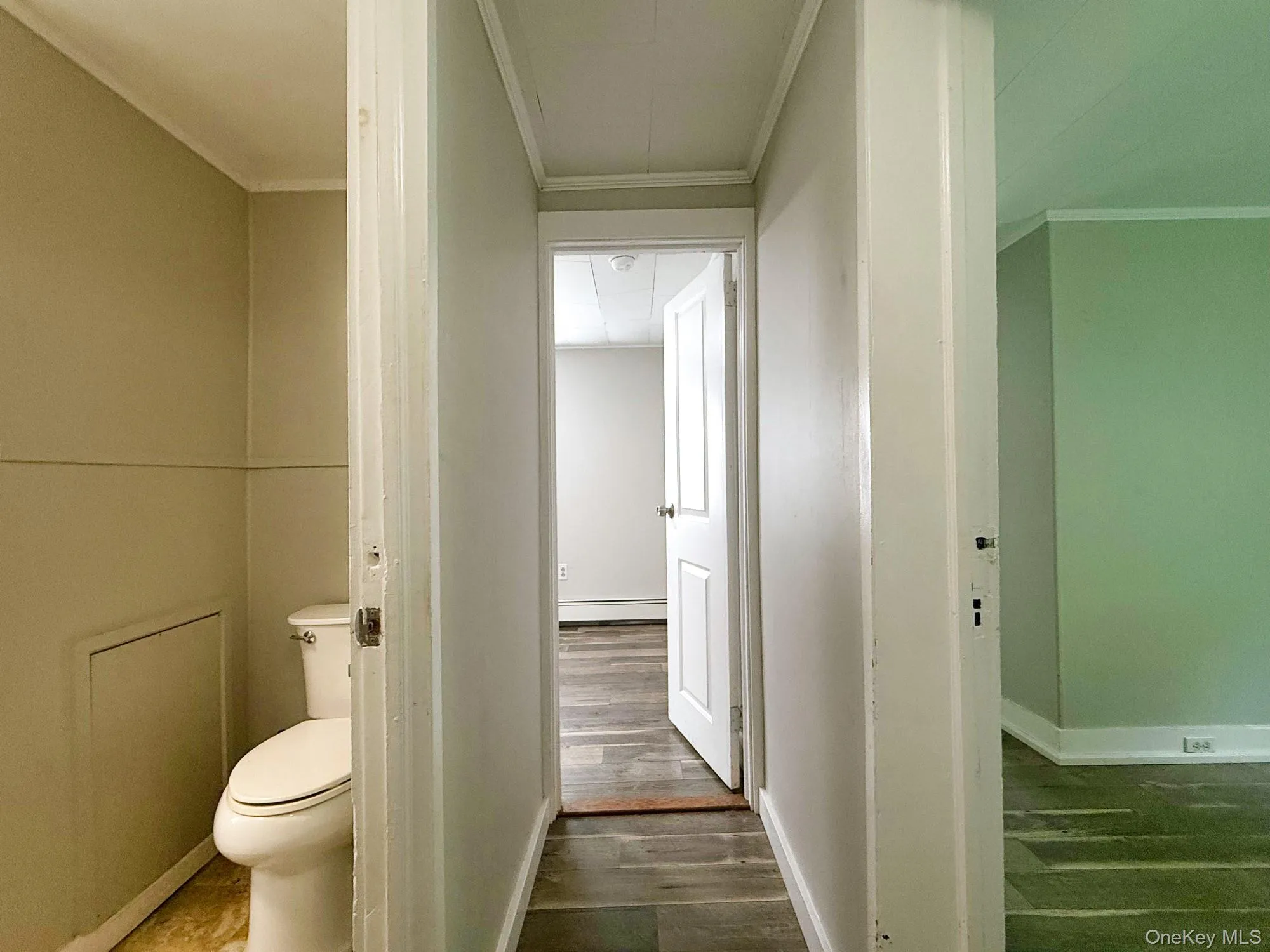 Bathroom with a baseboard radiator, crown molding, and wood finished floors Bathroom with a baseboard radiator, crown molding, and wood finished floors