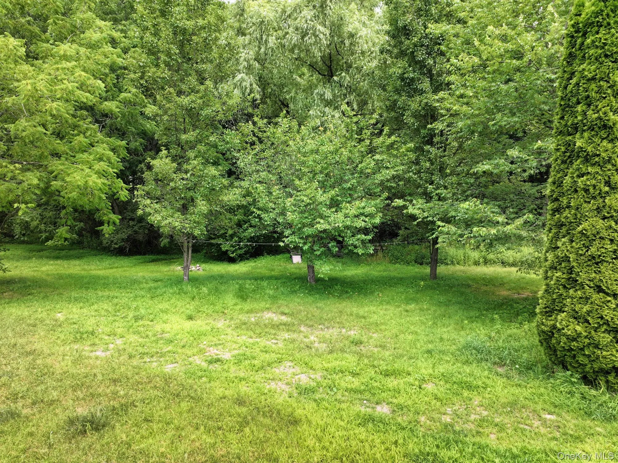 View of green lawn featuring a forest view View of green lawn featuring a forest view