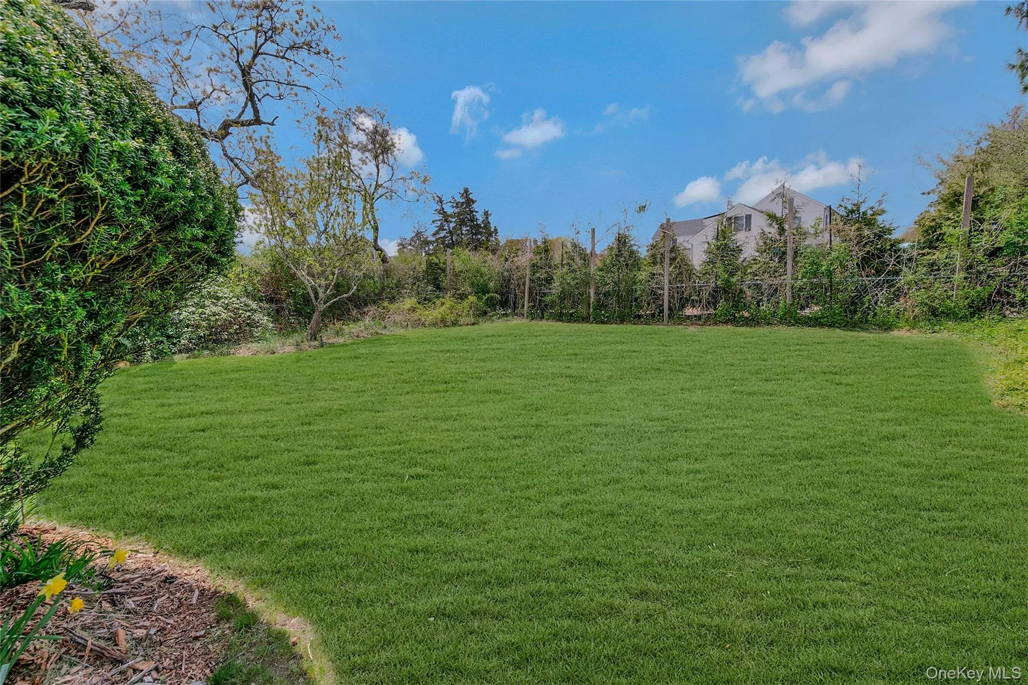 View of yard View of yard