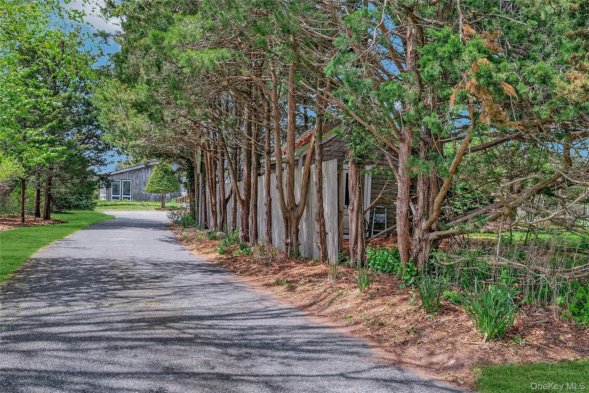 View of asphalt driveway View of asphalt driveway