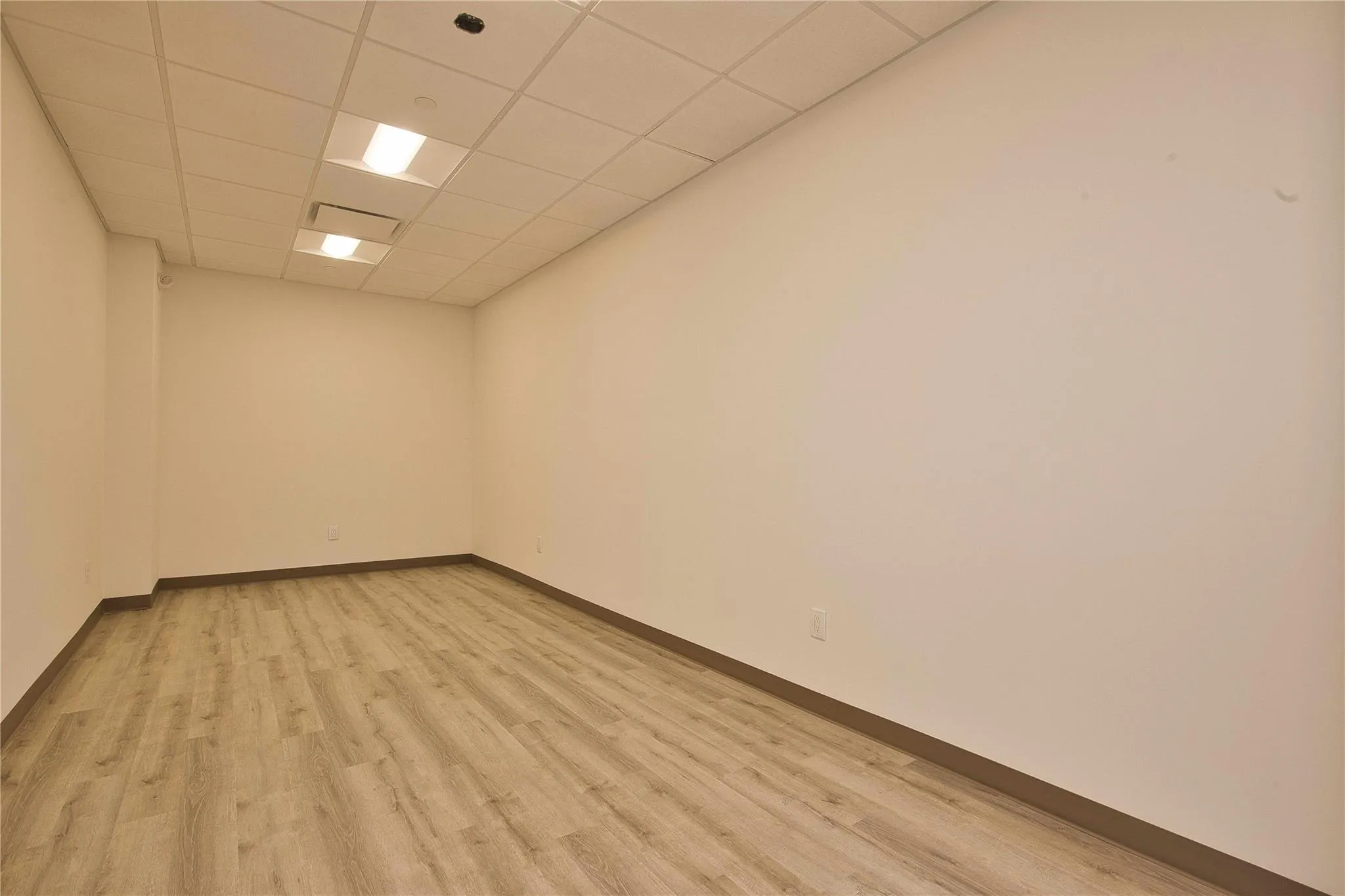 Spare room featuring light wood-style flooring, a drop ceiling, and baseboards Spare room featuring light wood-style flooring, a drop ceiling, and baseboards