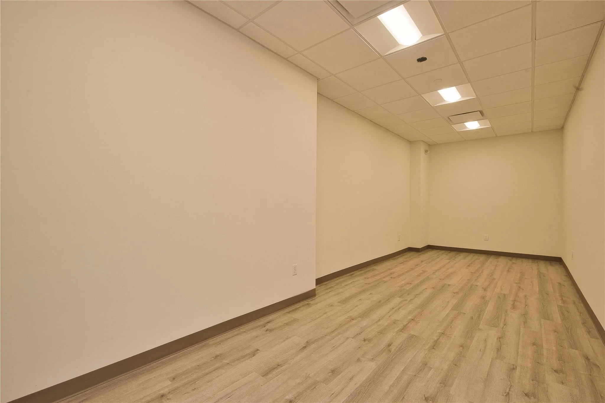 Spare room featuring light wood-type flooring, a paneled ceiling, and baseboards Spare room featuring light wood-type flooring, a paneled ceiling, and baseboards