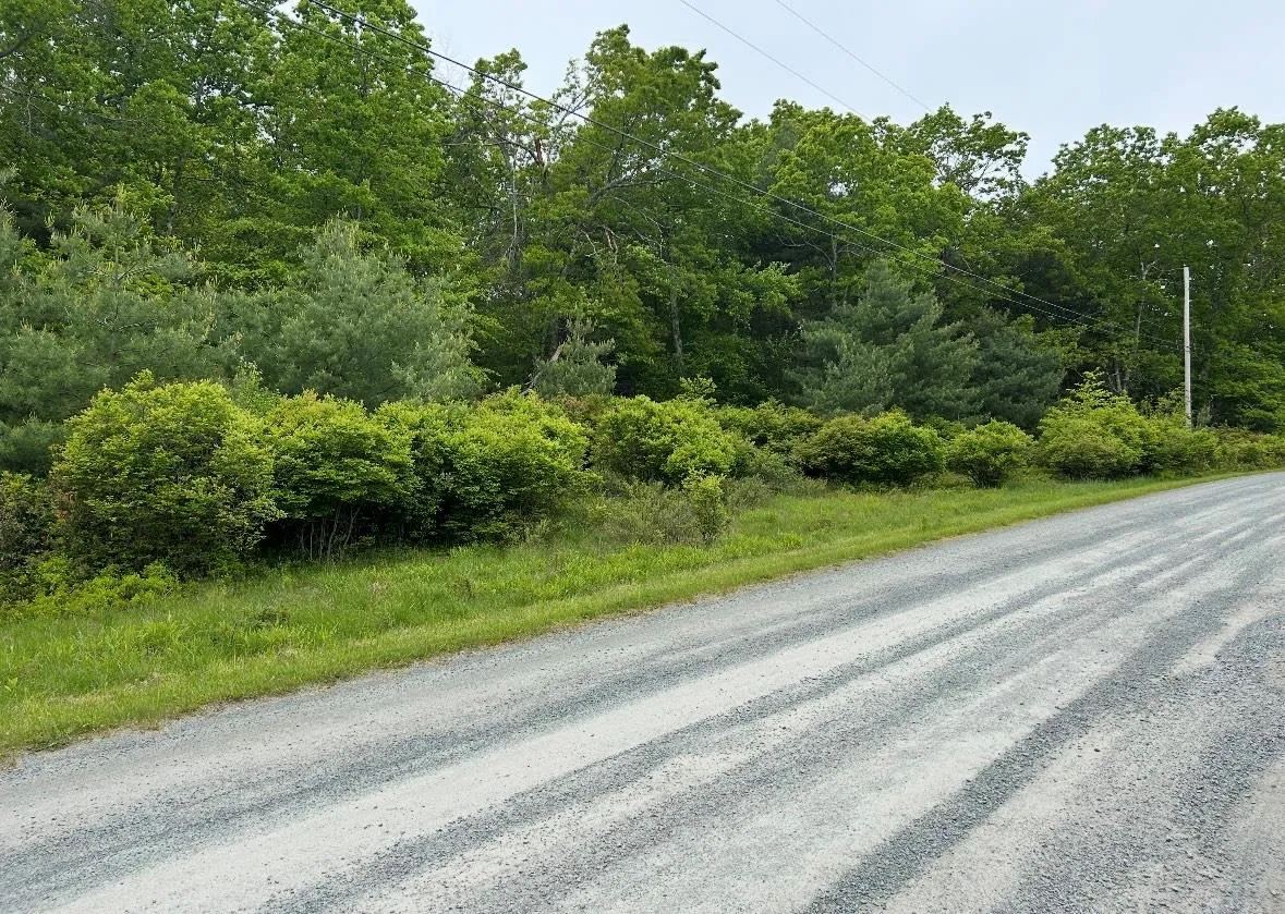 View of street View of street