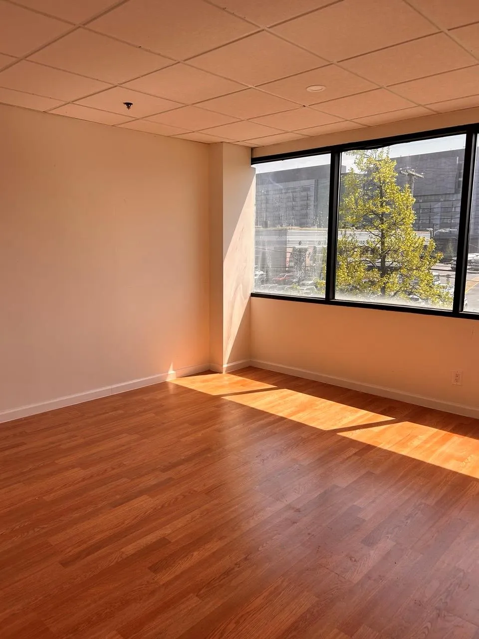 Empty room with wood finished floors, baseboards, a paneled ceiling, and fire sprinkler in ceiling Empty room with wood finished floors, baseboards, a paneled ceiling, and fire sprinkler in ceiling