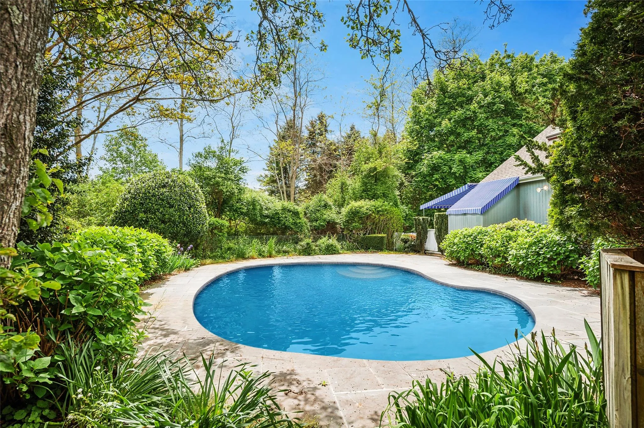 View of swimming pool featuring view of scattered trees View of swimming pool featuring view of scattered trees