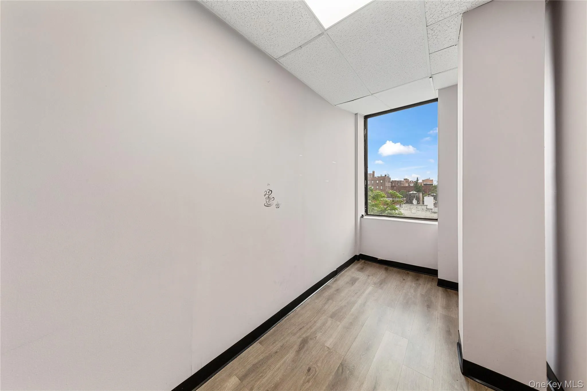 Spare room featuring light wood-style floors, a paneled ceiling, and baseboards Spare room featuring light wood-style floors, a paneled ceiling, and baseboards
