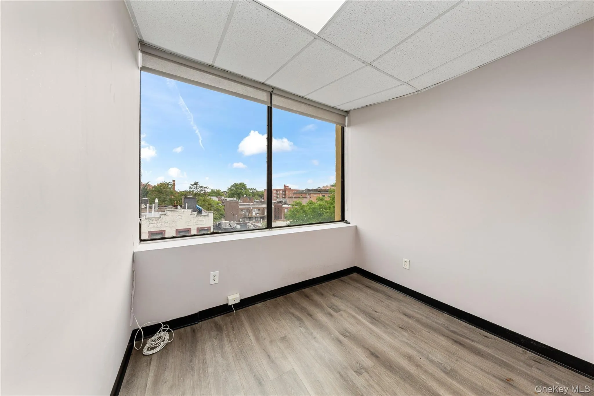 Empty room with wood finished floors, baseboards, and a drop ceiling Empty room with wood finished floors, baseboards, and a drop ceiling