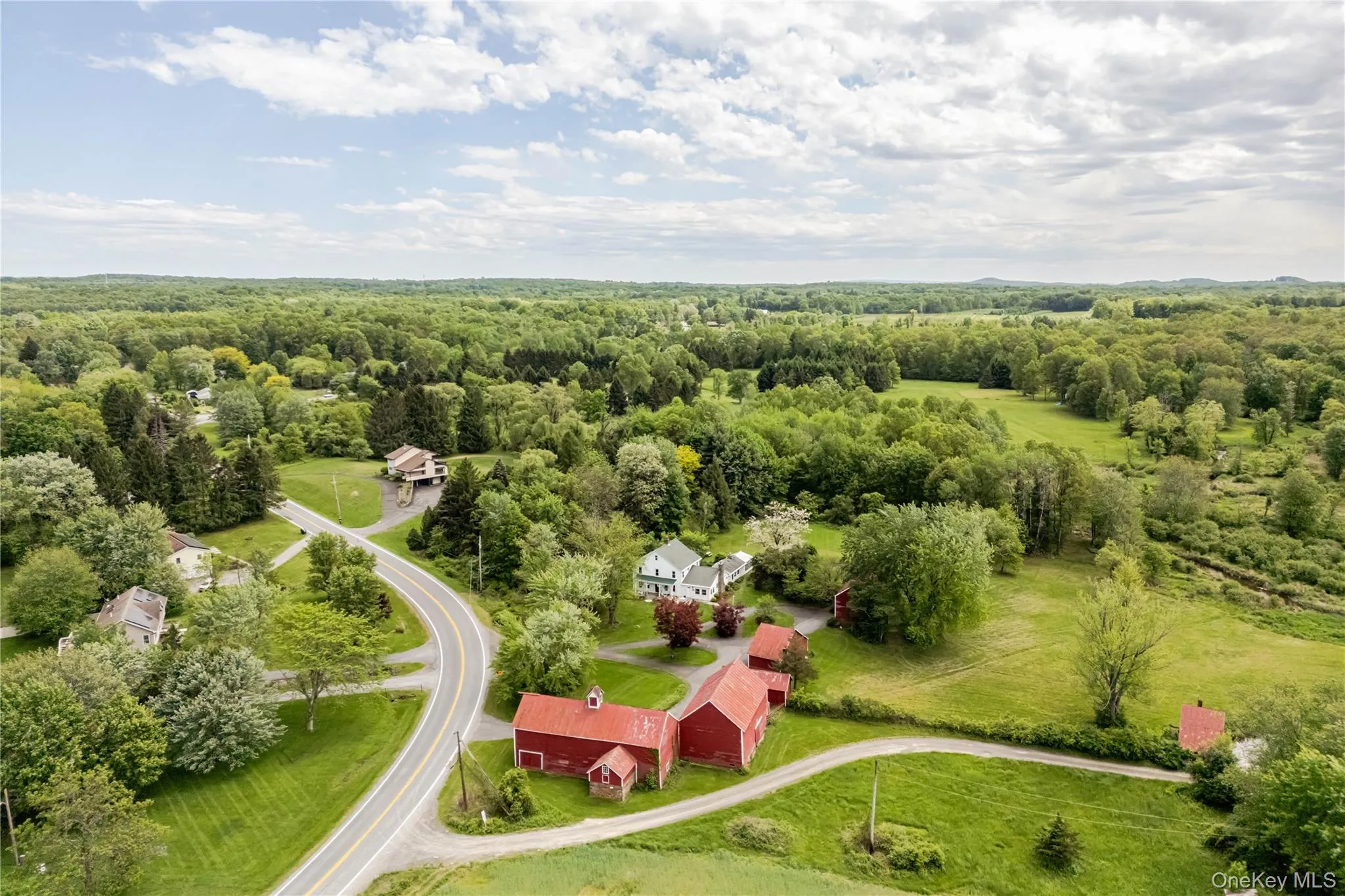 Drone / aerial view of a forest Drone / aerial view of a forest