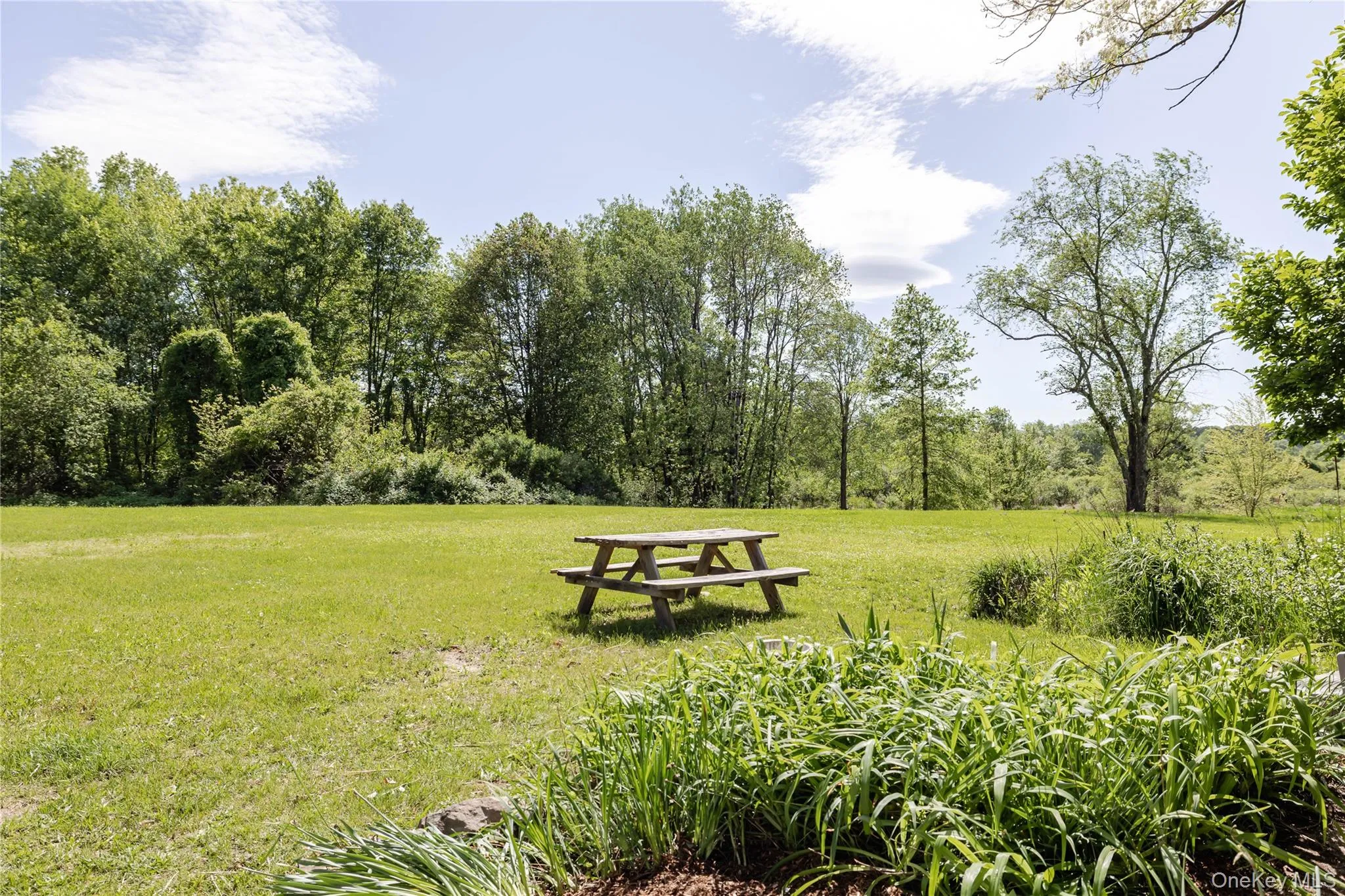 View of home's community with a lawn View of home's community with a lawn