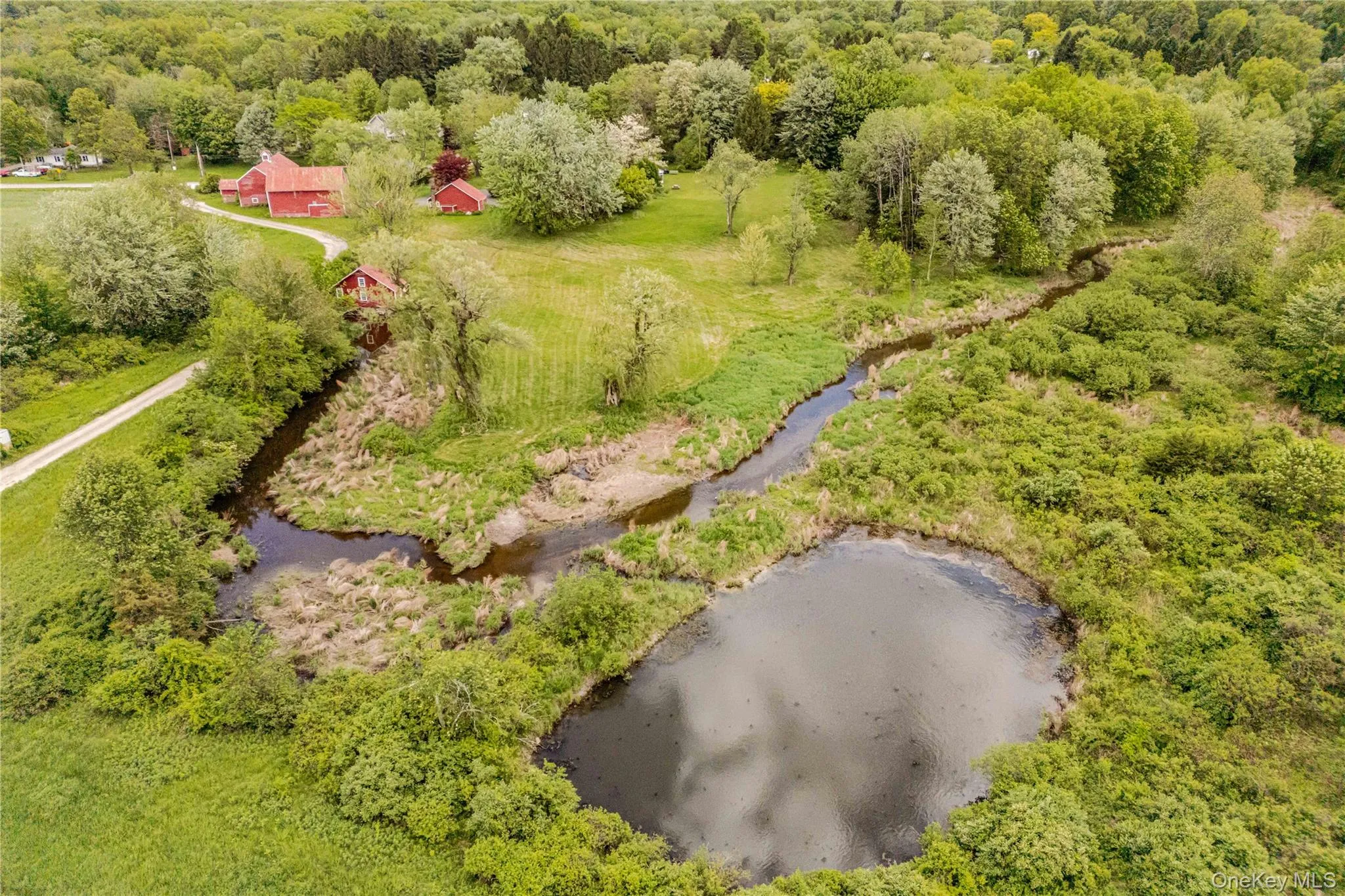 Aerial view of a heavily wooded area and a large body of water Aerial view of a heavily wooded area and a large body of water