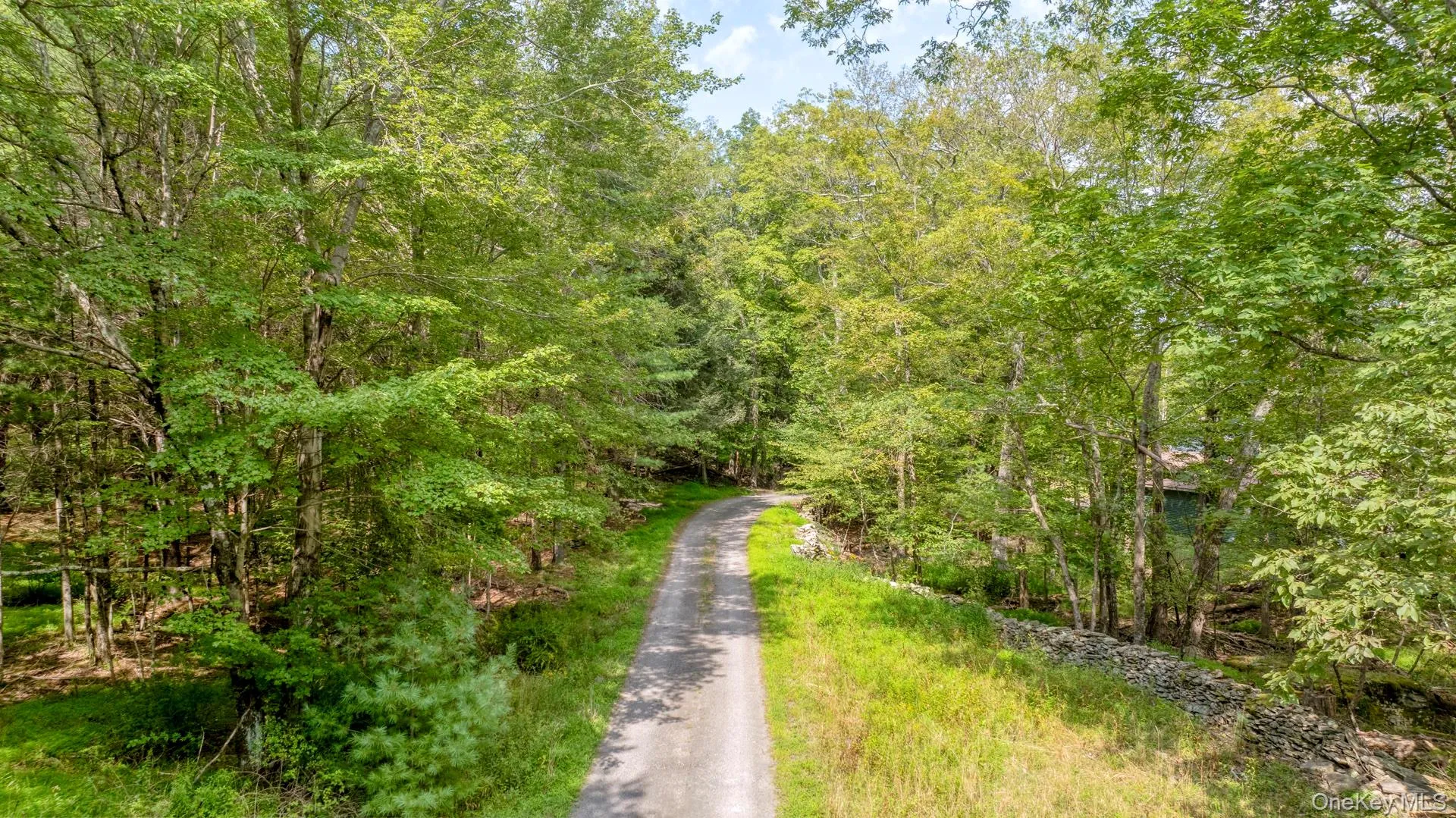 View of street with a forest view View of street with a forest view