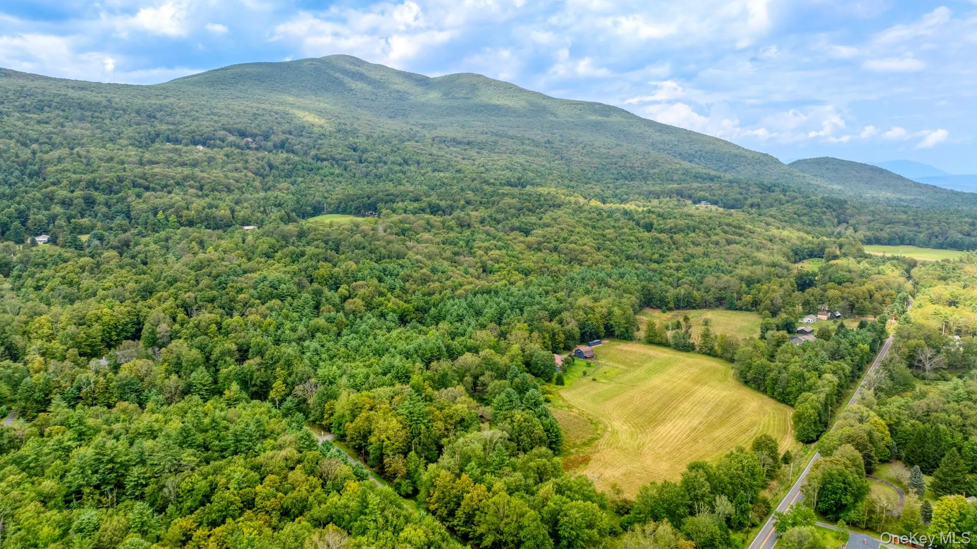 Drone / aerial view of a forest and mountains Drone / aerial view of a forest and mountains