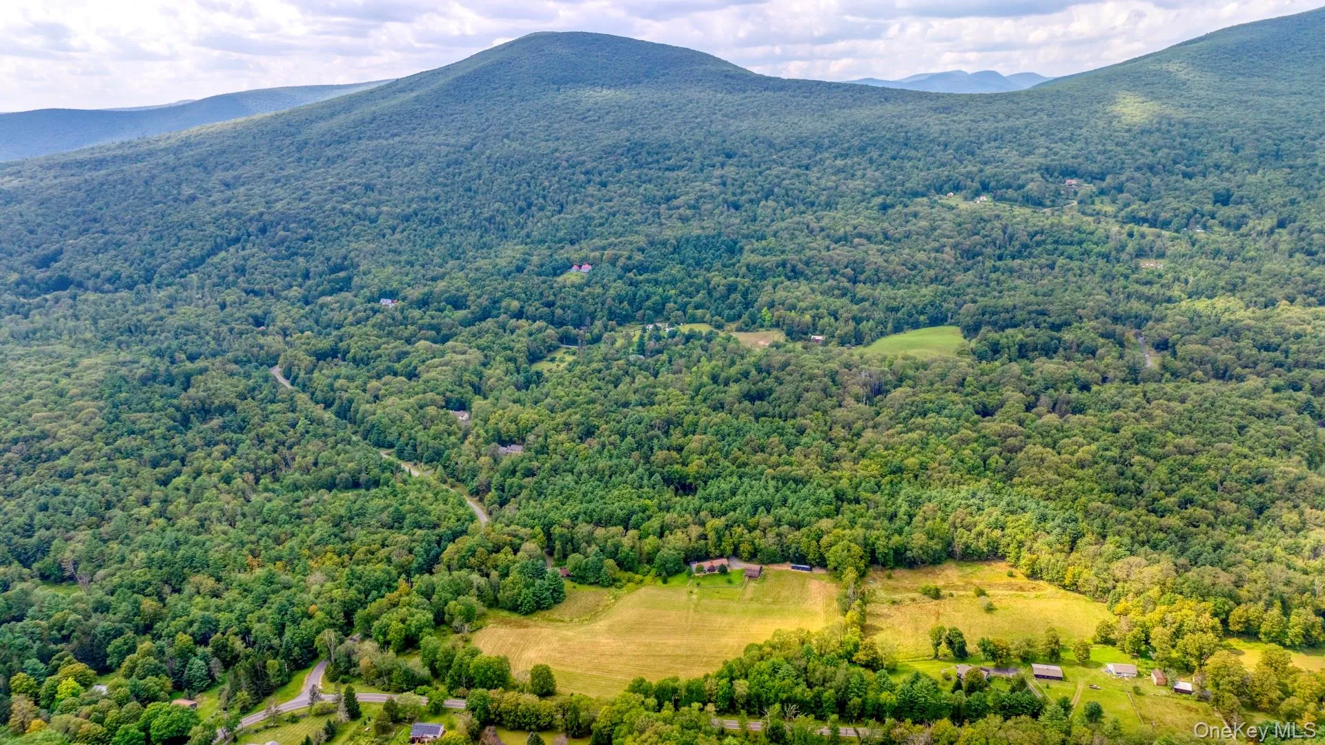View of mountain backdrop with a forest View of mountain backdrop with a forest