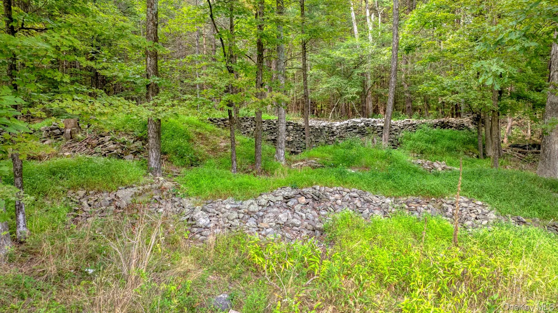 View of yard featuring a forest view View of yard featuring a forest view
