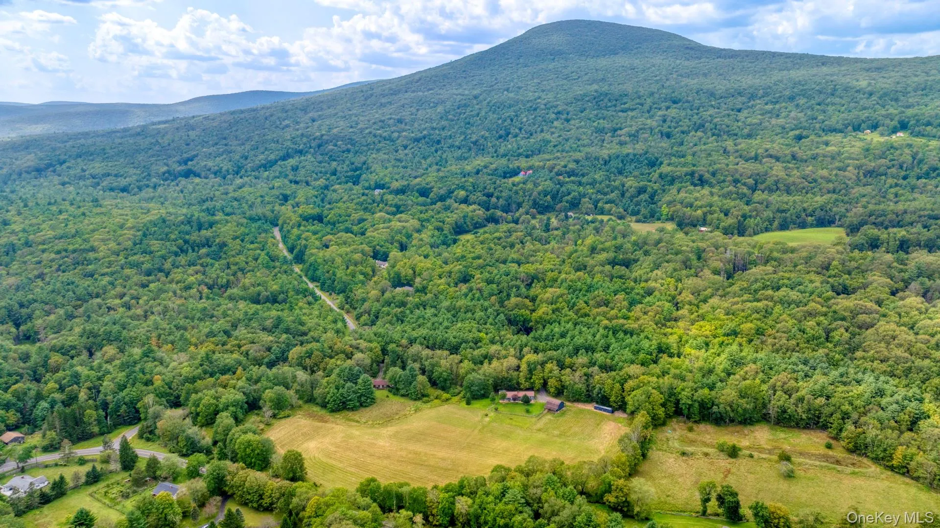 Drone / aerial view of a heavily wooded area and a mountainous background Drone / aerial view of a heavily wooded area and a mountainous background