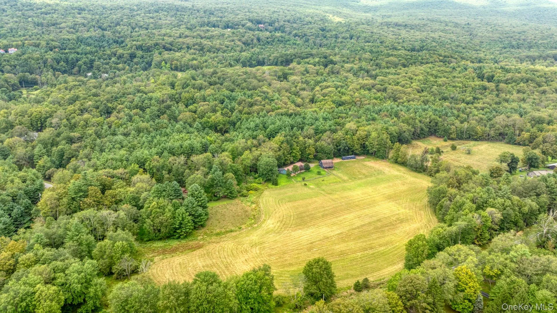 Drone / aerial view of a heavily wooded area Drone / aerial view of a heavily wooded area